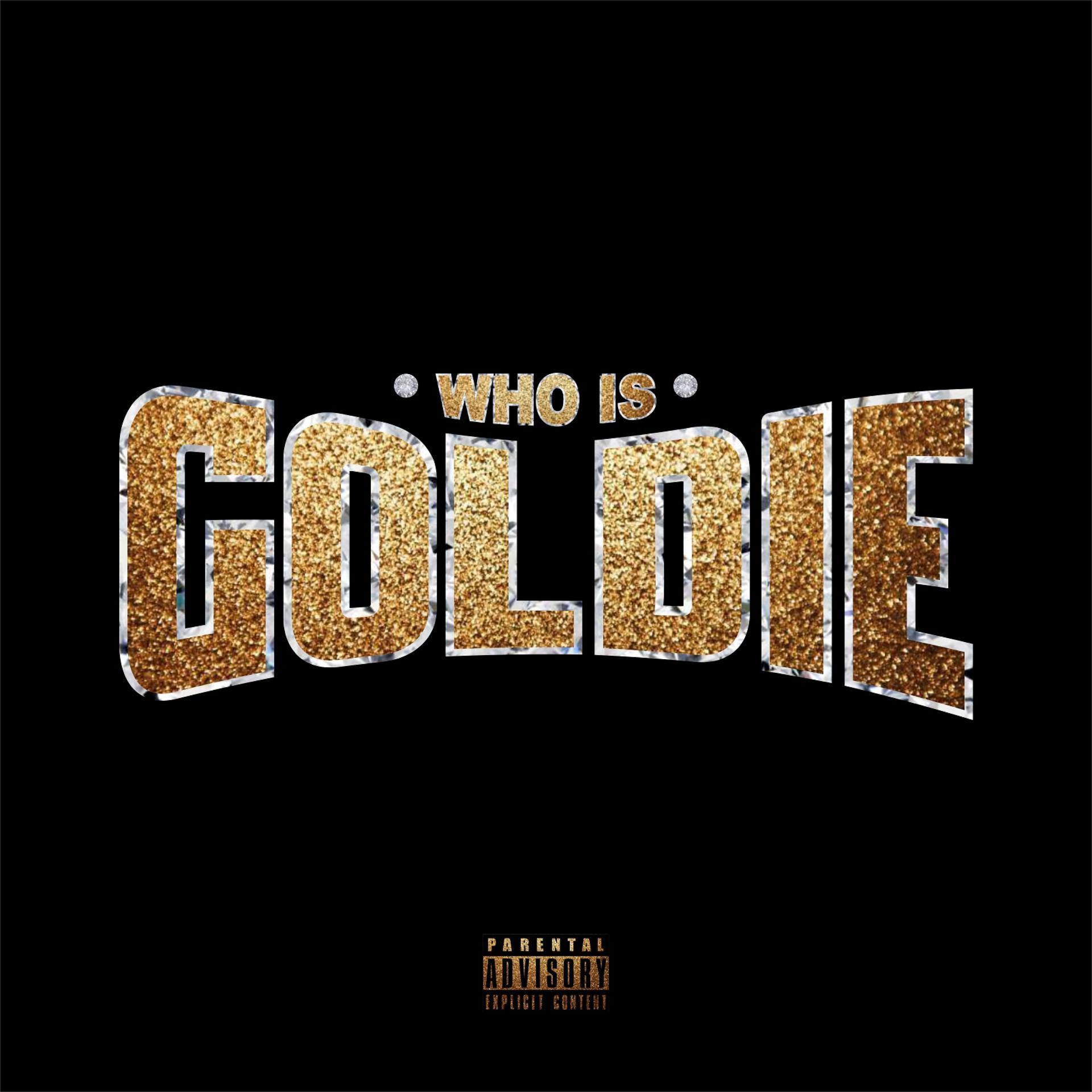 Постер альбома Who Is Goldie