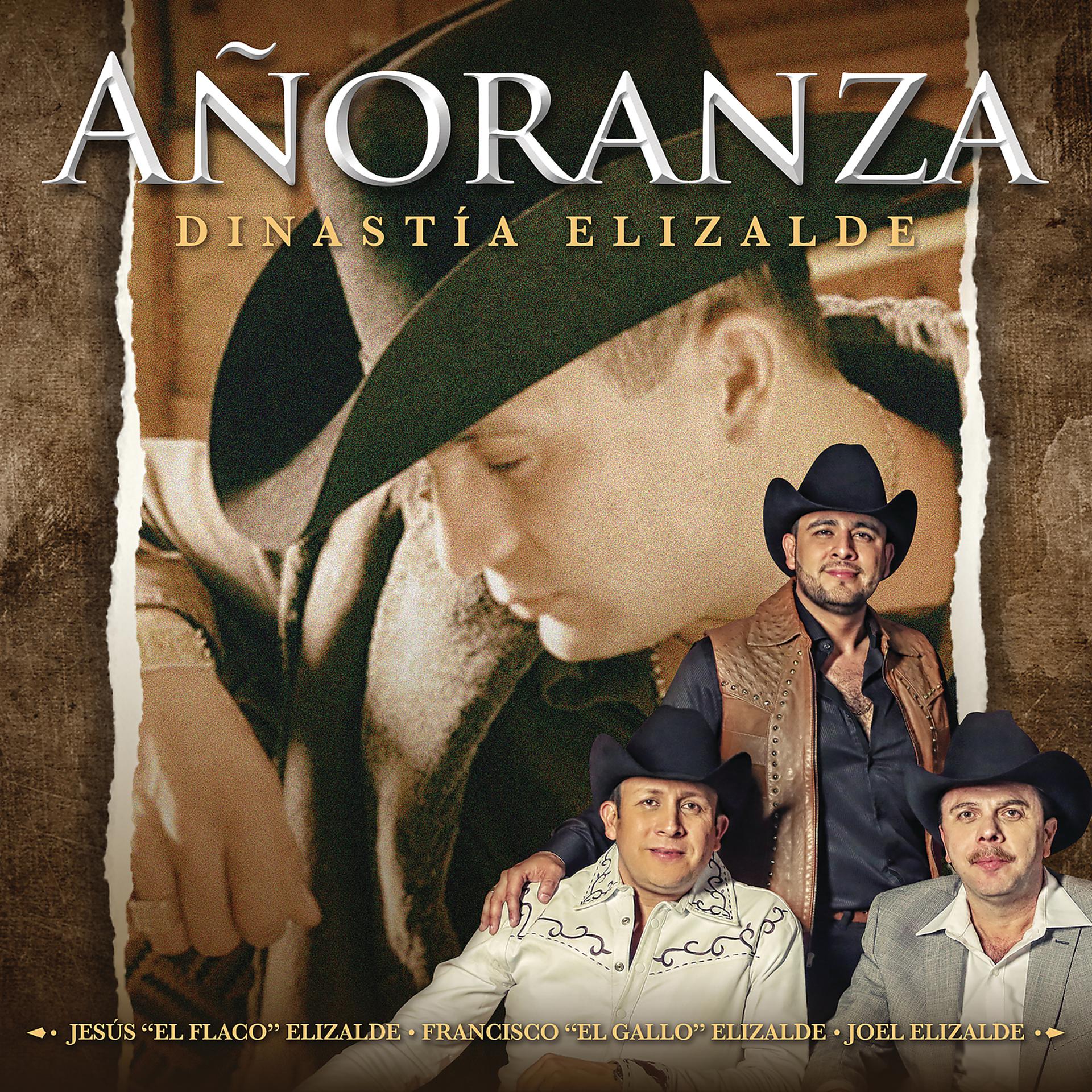 Постер альбома Añoranza - Dinastía Elizalde