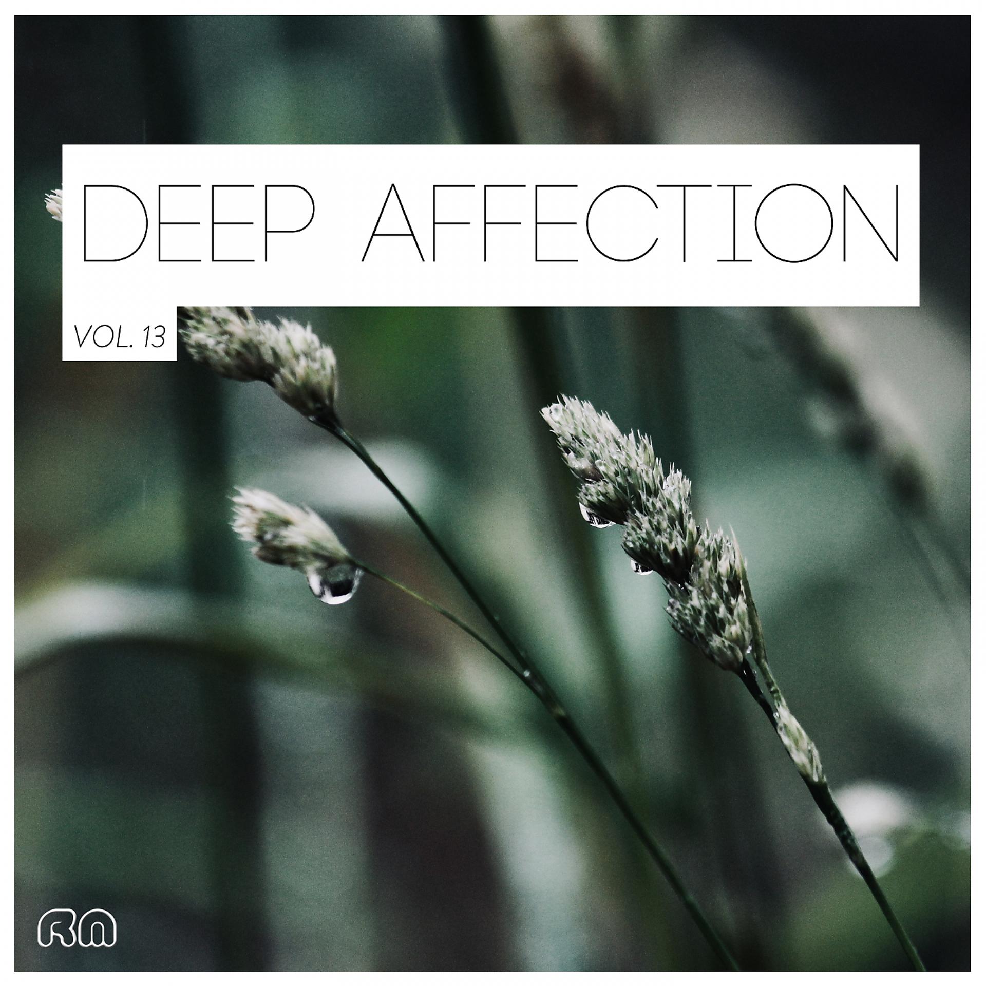 Постер альбома Deep Affection, Vol. 13