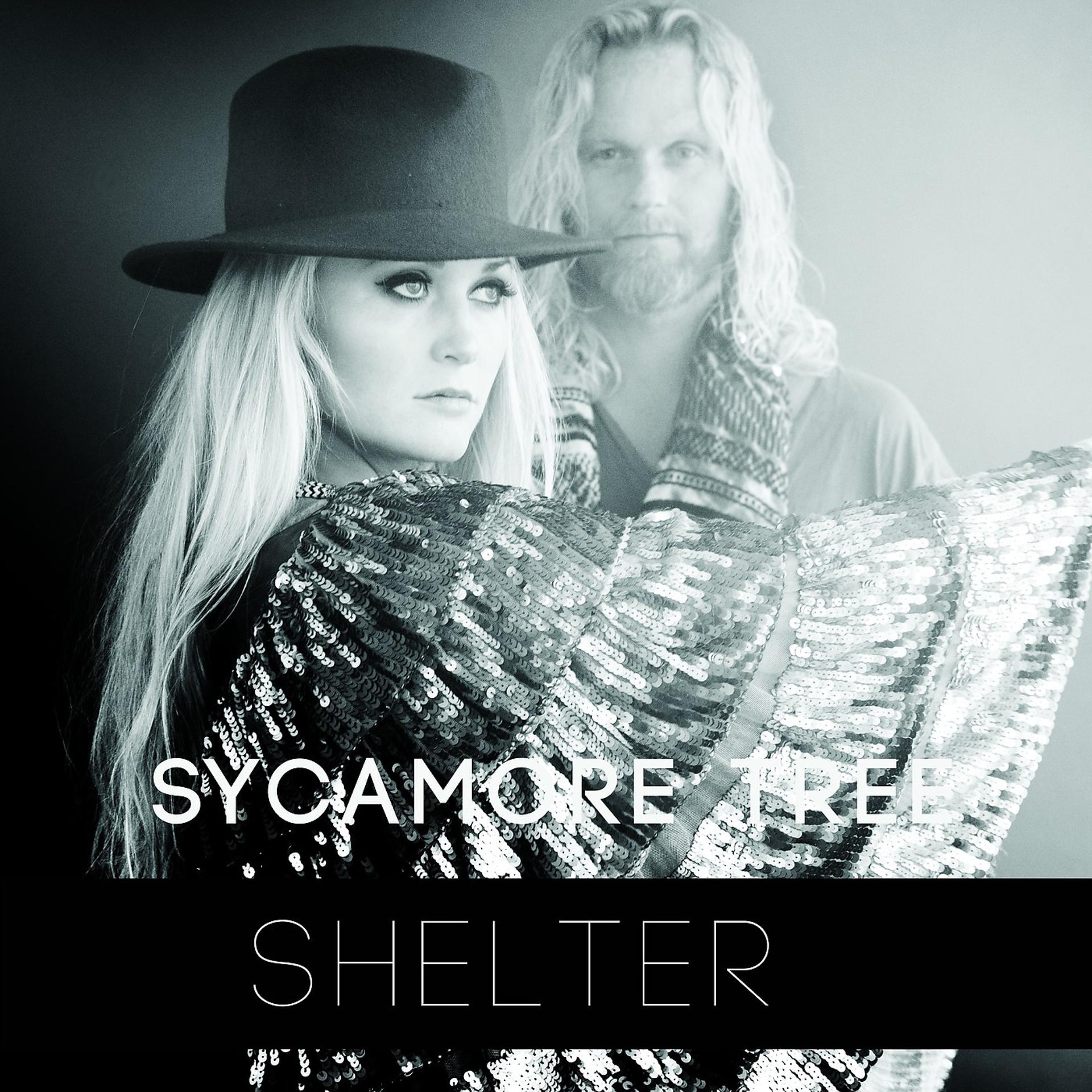 Постер альбома Shelter (Magnus Johann Remix)
