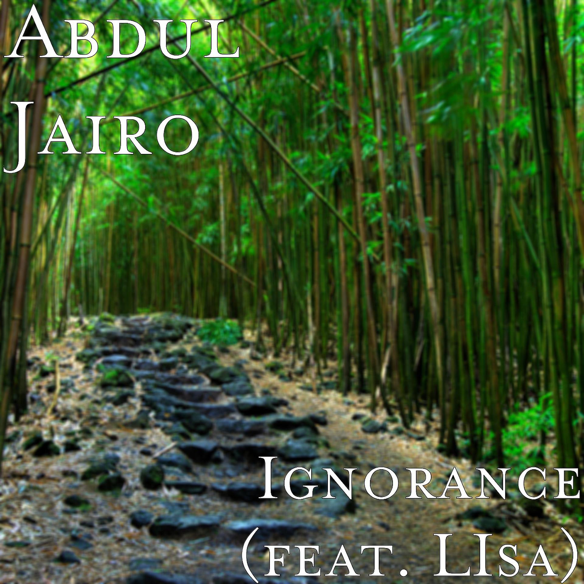 Постер альбома Ignorance (feat. LIsa)