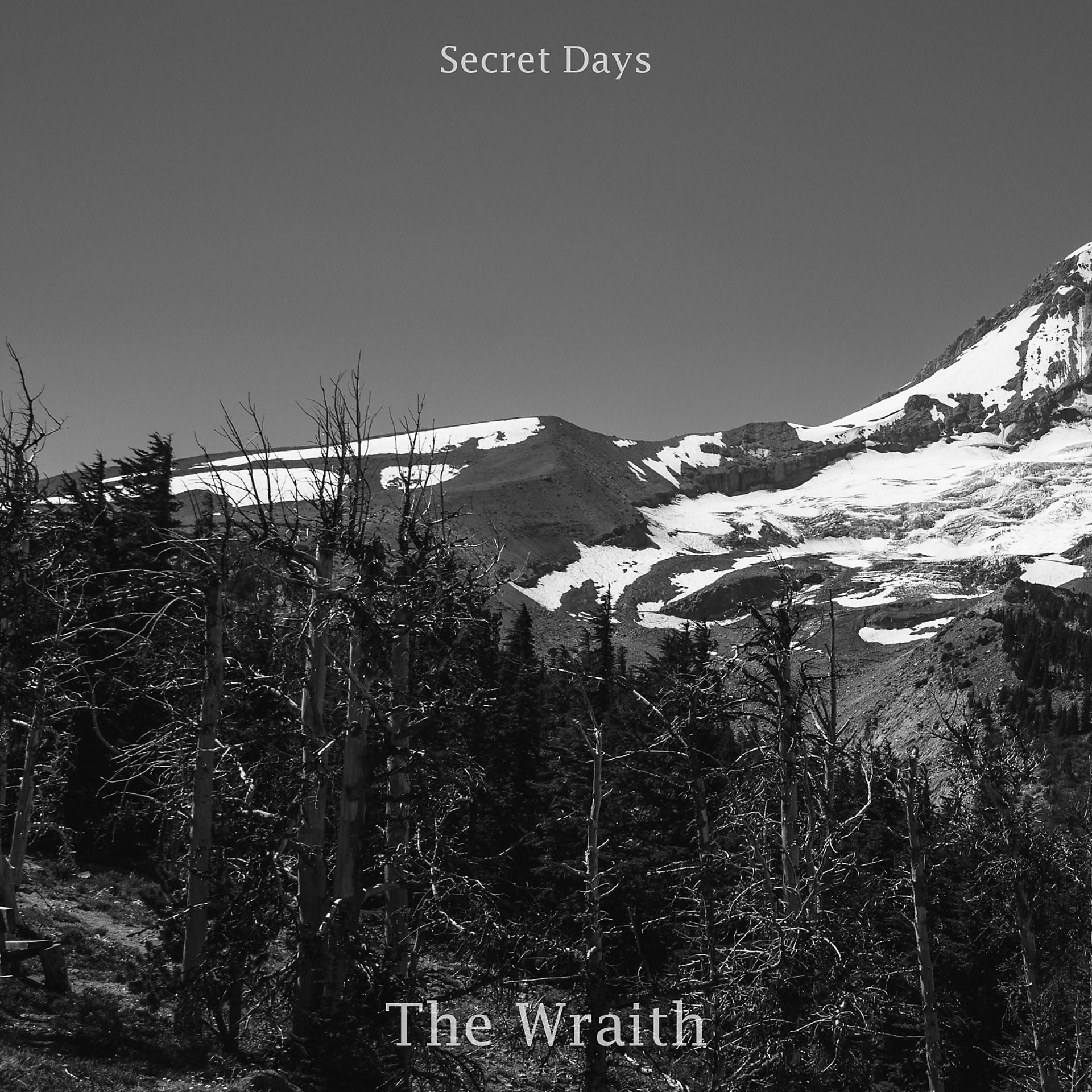 Постер альбома The Wraith