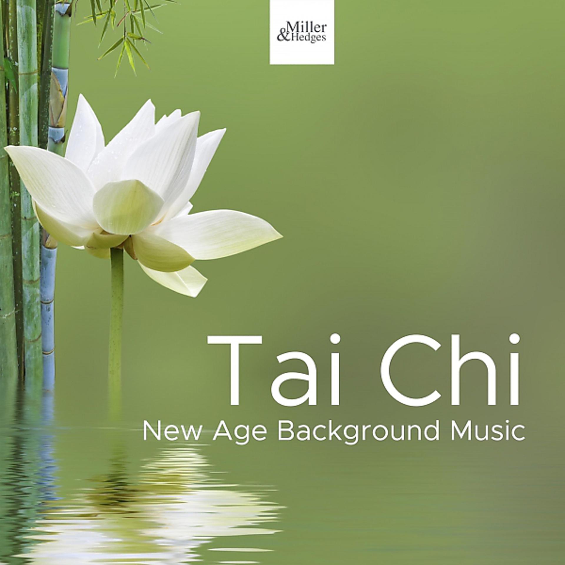 Постер альбома Tai Chi - New Age Background Music for Deep Relaxation Exercises