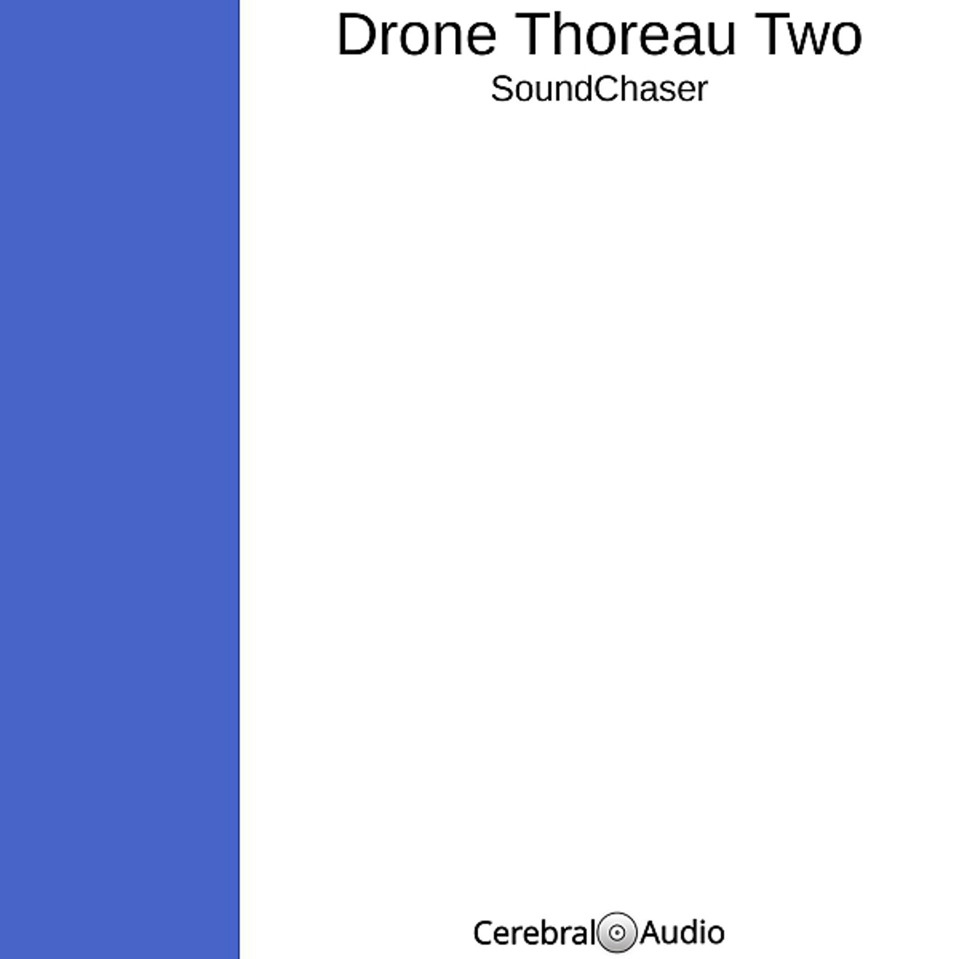 Постер альбома Drone Thoreau Two