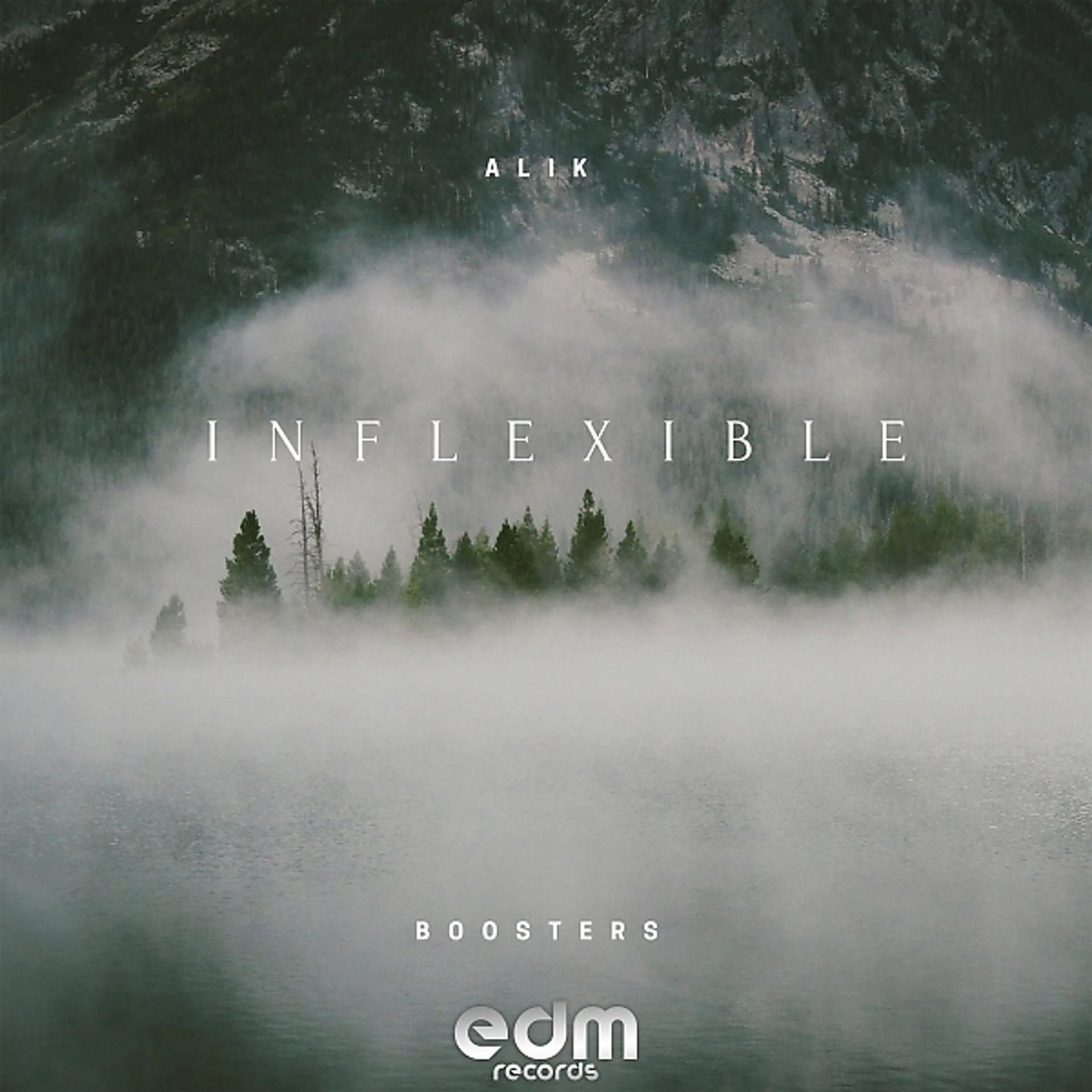 Постер альбома Inflexible