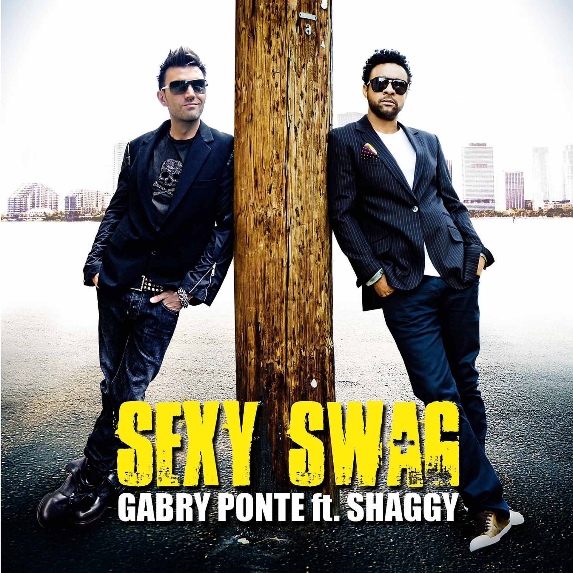 Постер альбома Sexy Swag (feat. Shaggy)