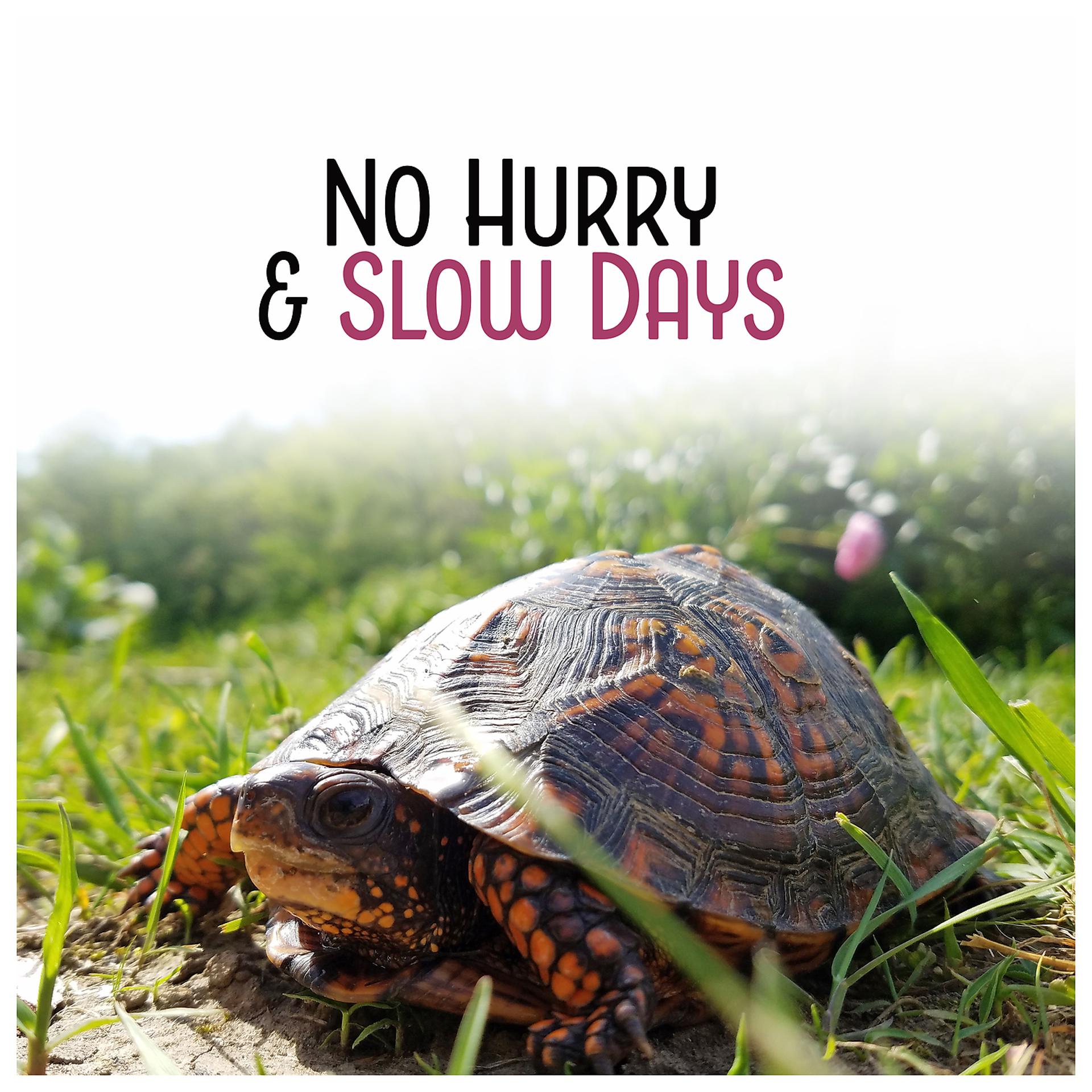 Постер альбома No Hurry & Slow Days