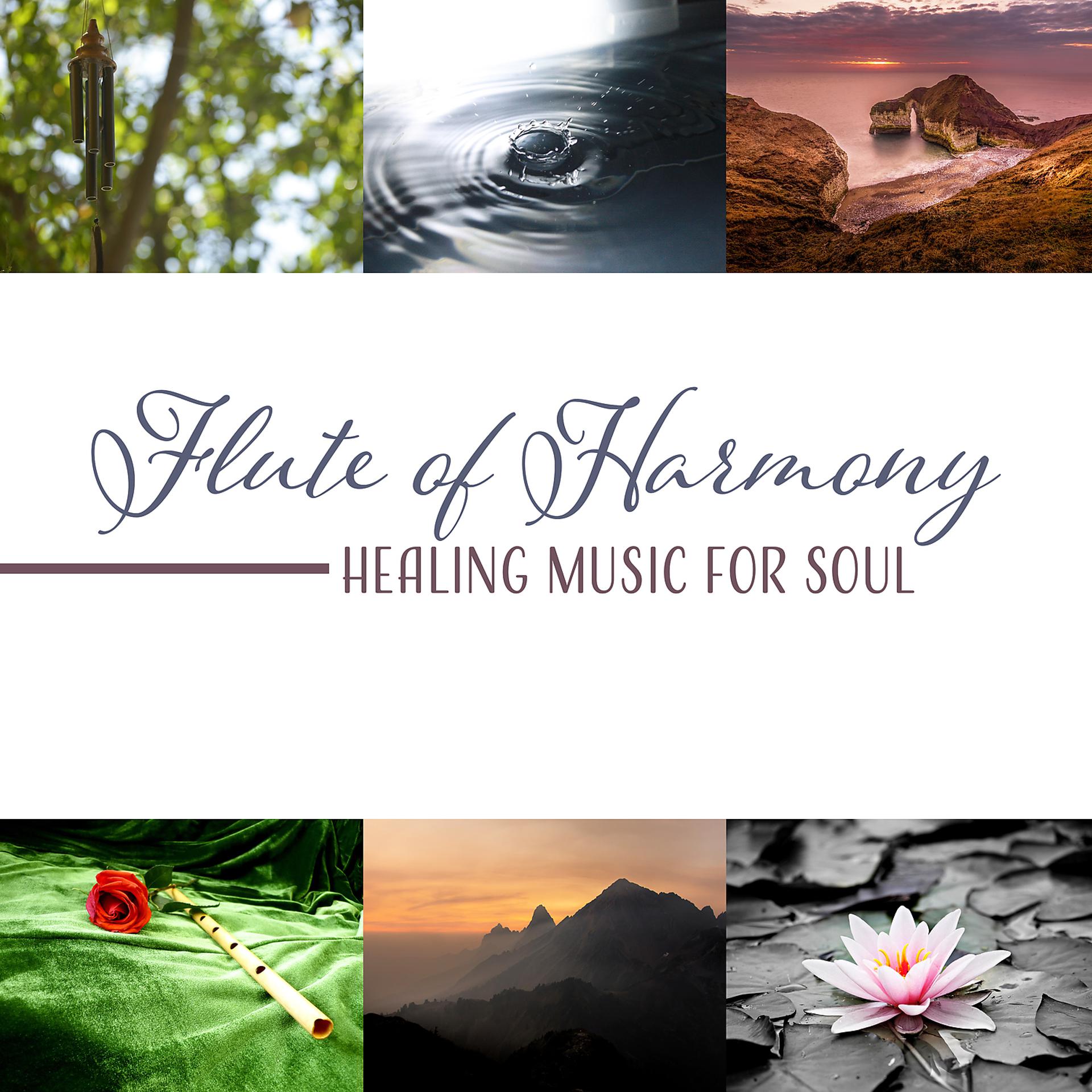 Постер альбома Flute of Harmony – Healing Music for Soul: Hypnotic Mindfulness, Mental Bliss, Serenity Therapy, Touch of Calm, Oasis of Nature