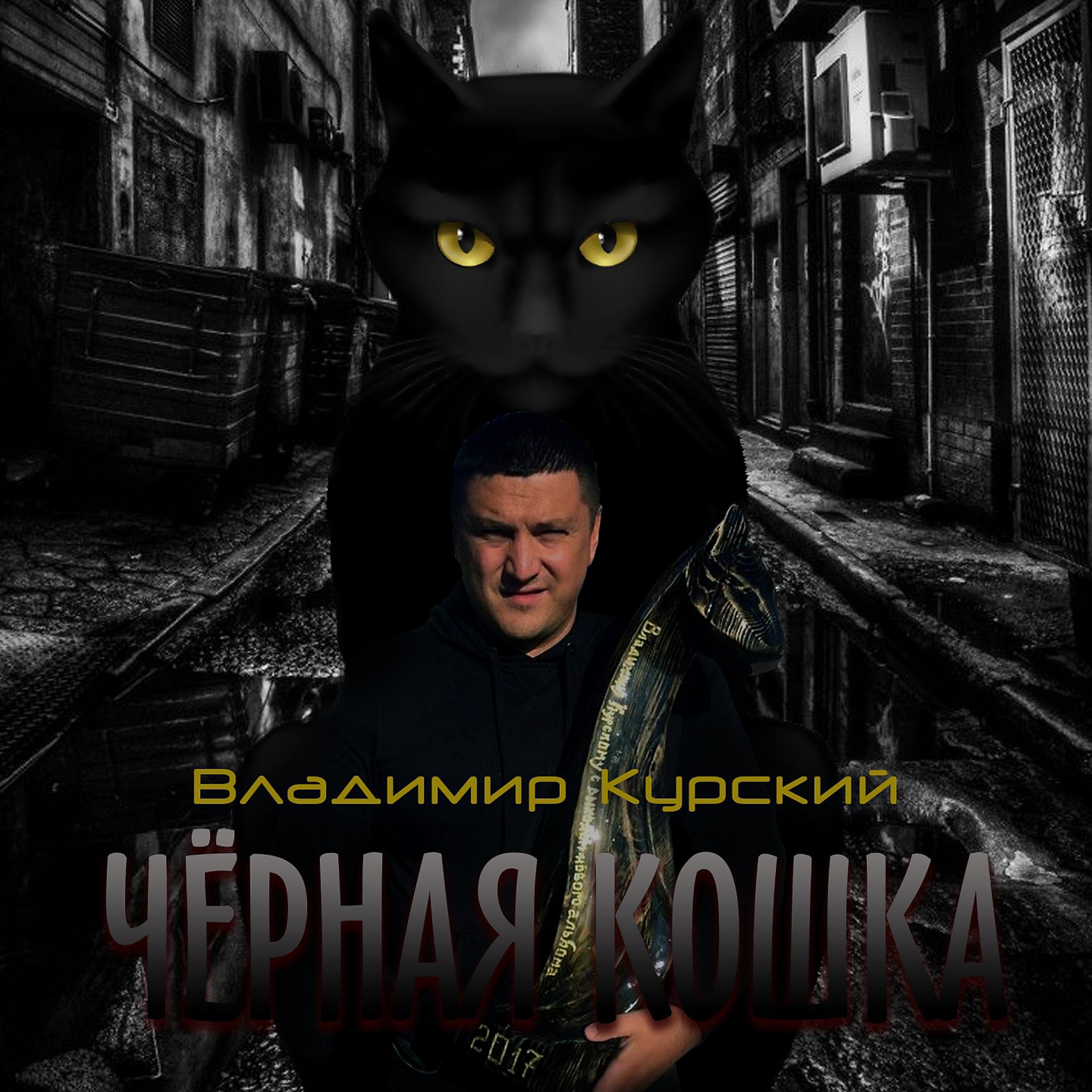 Постер альбома Чёрная кошка