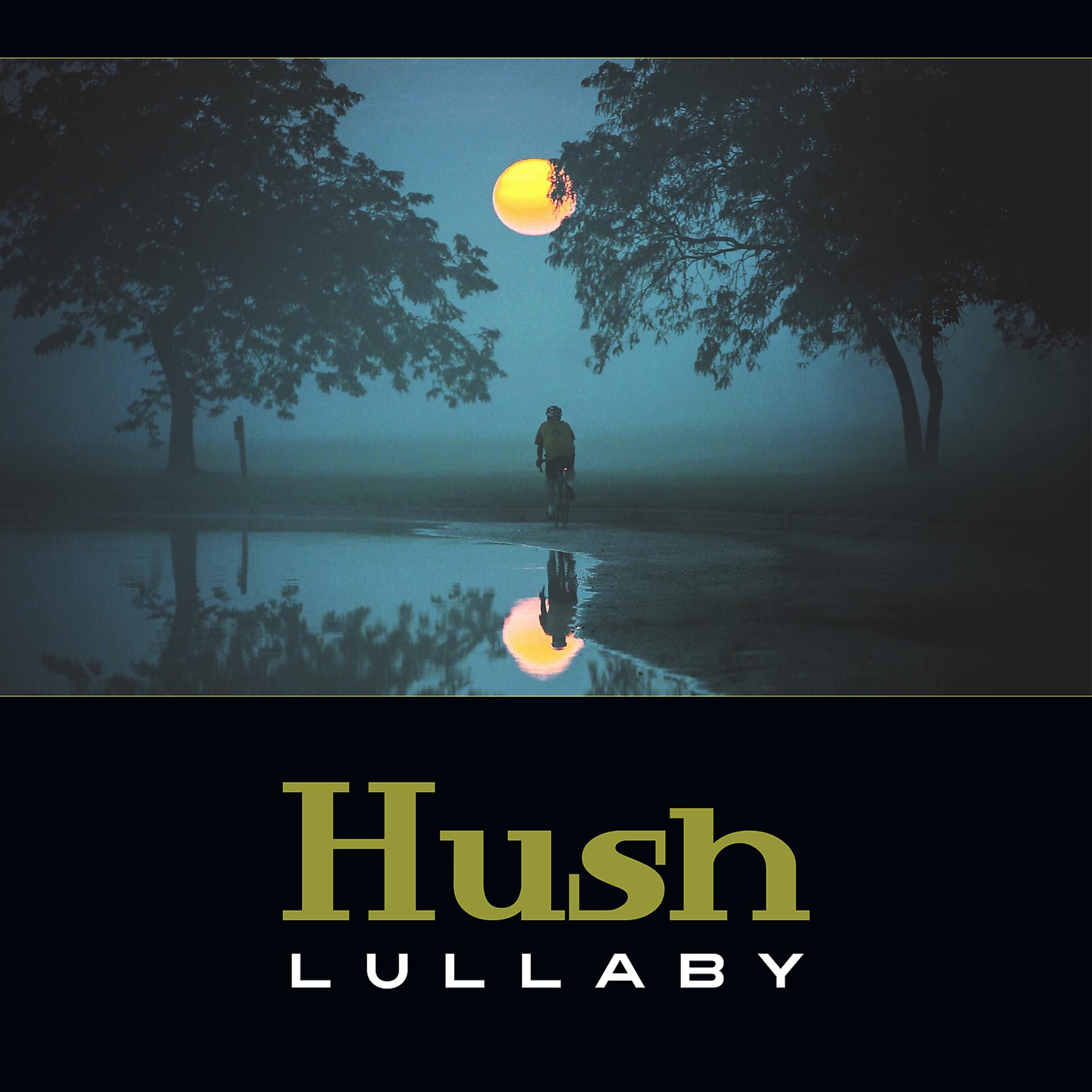 Постер альбома Hush Lullaby – Baby Relaxation, Soothing Melodies for Stress Relief, Newborn Sleep Tight
