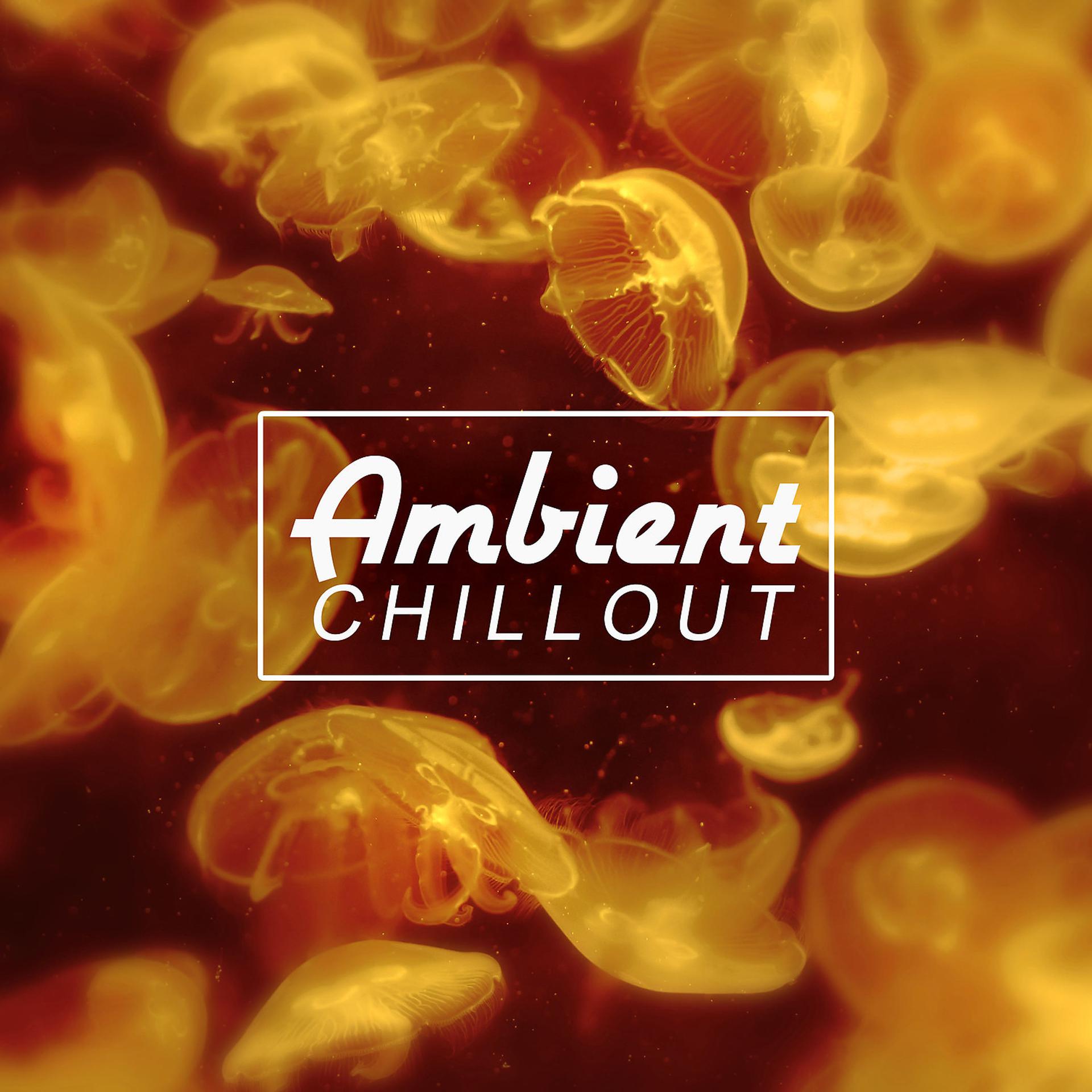 Постер альбома Ambient Chillout - Summer Solstice, Ibiza Party, Liquid Dreams, Miami Chill
