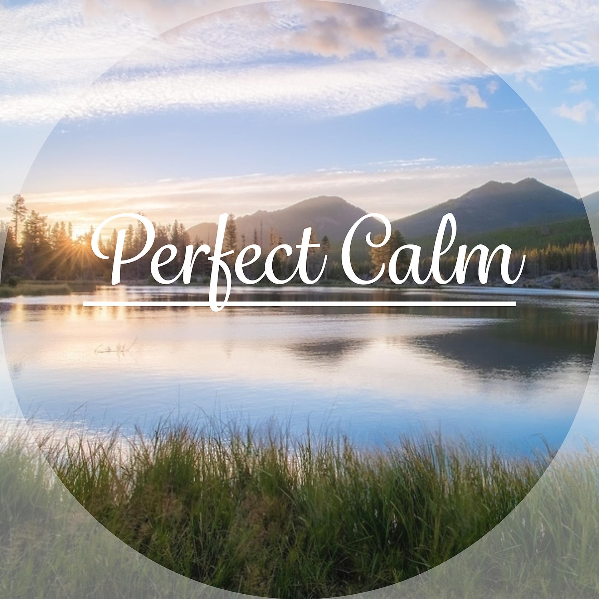 Постер альбома Perfect Calm – Nature Music for Yoga, Meditation, Mantra, Spa, Wellness, Deep Sleep, Sounds of Nature to Reduce Stress and Relax