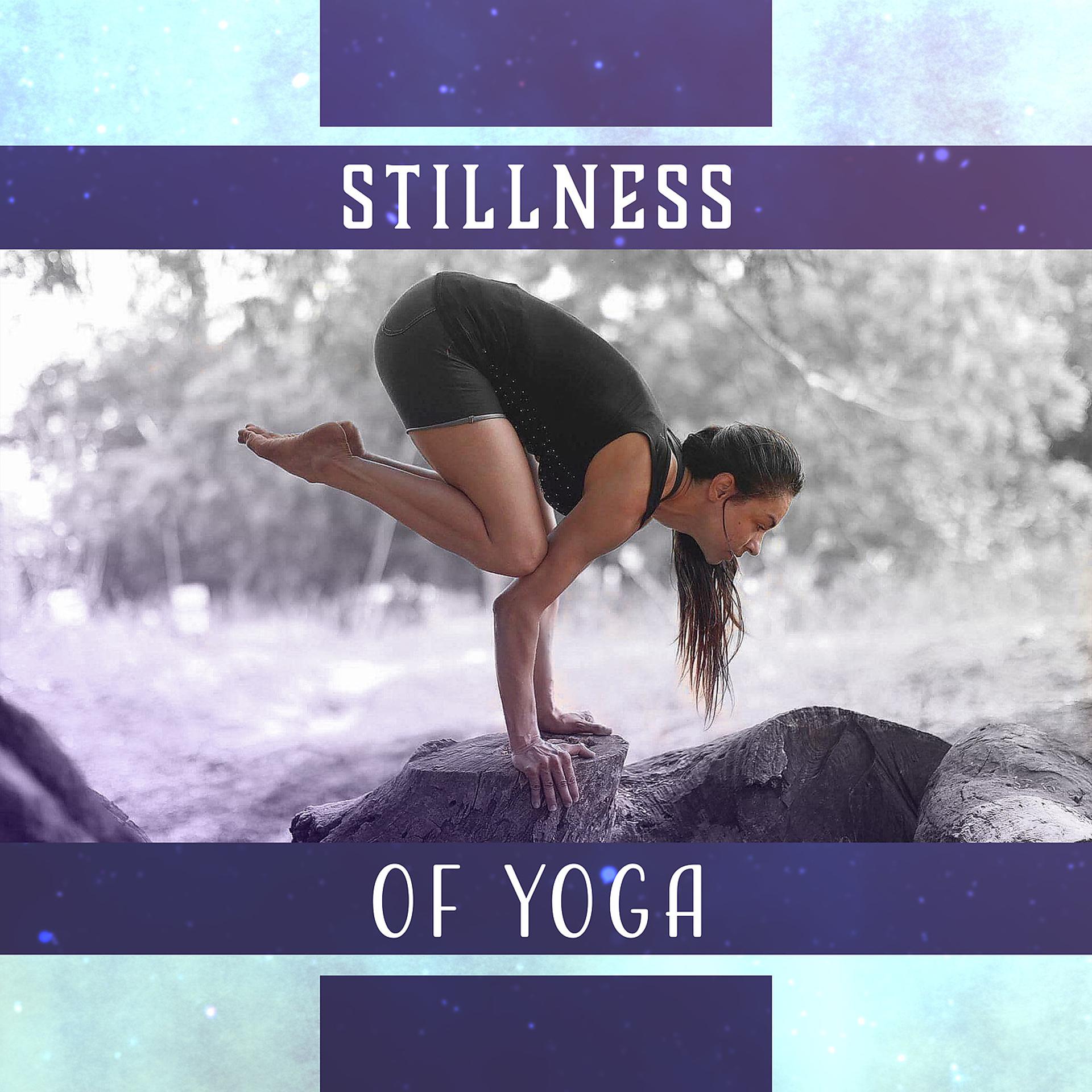 Постер альбома Stillness of Yoga: Ways of Body Rejuvenation, Place of Balance, Spirit of Awareness, Peaceful Exercises, Long Youth