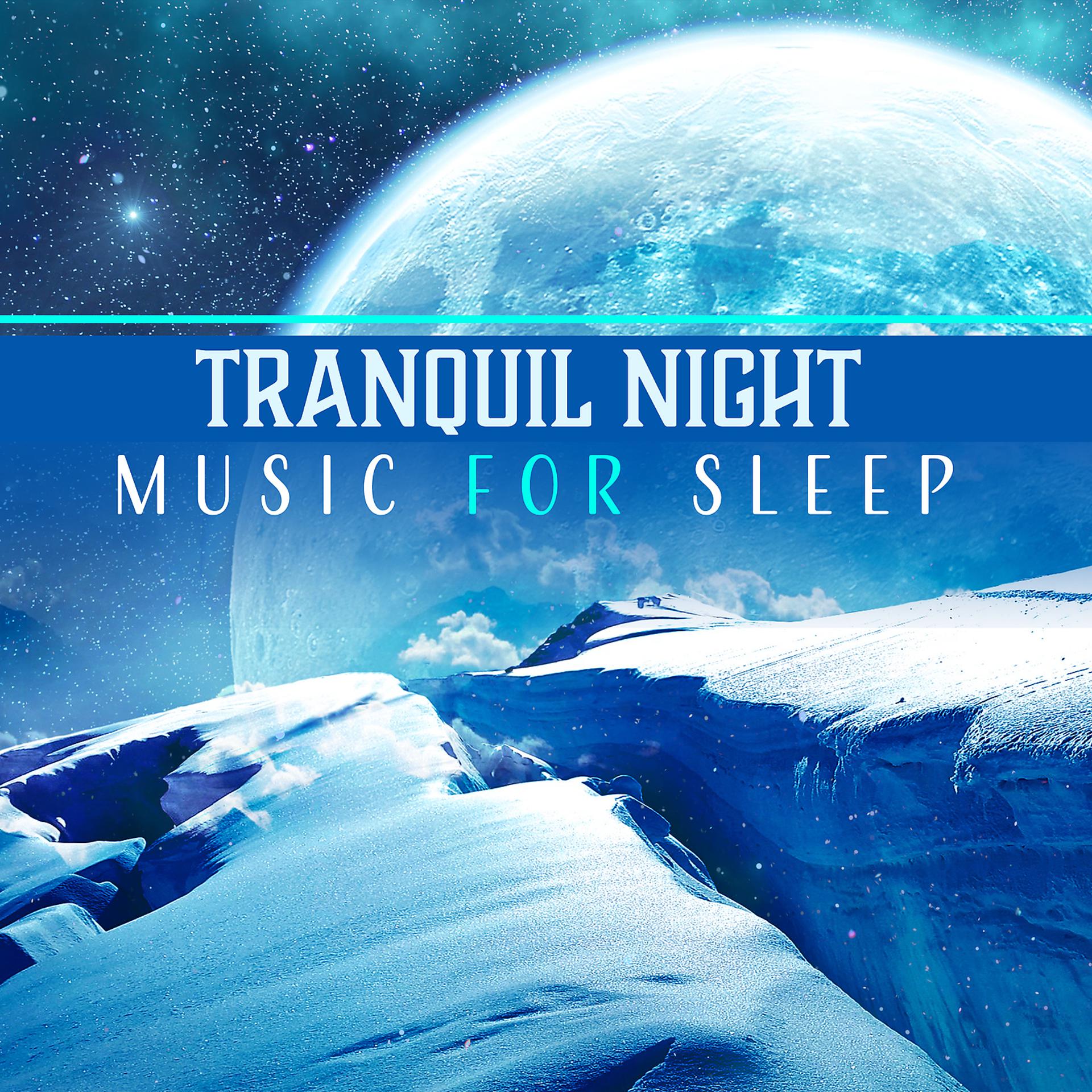 Постер альбома Tranquil Night – Music for Sleep: Evening Session, Dream Ambient, Soothing Relax, Ease Fall Asleep, Lullabies for Adults