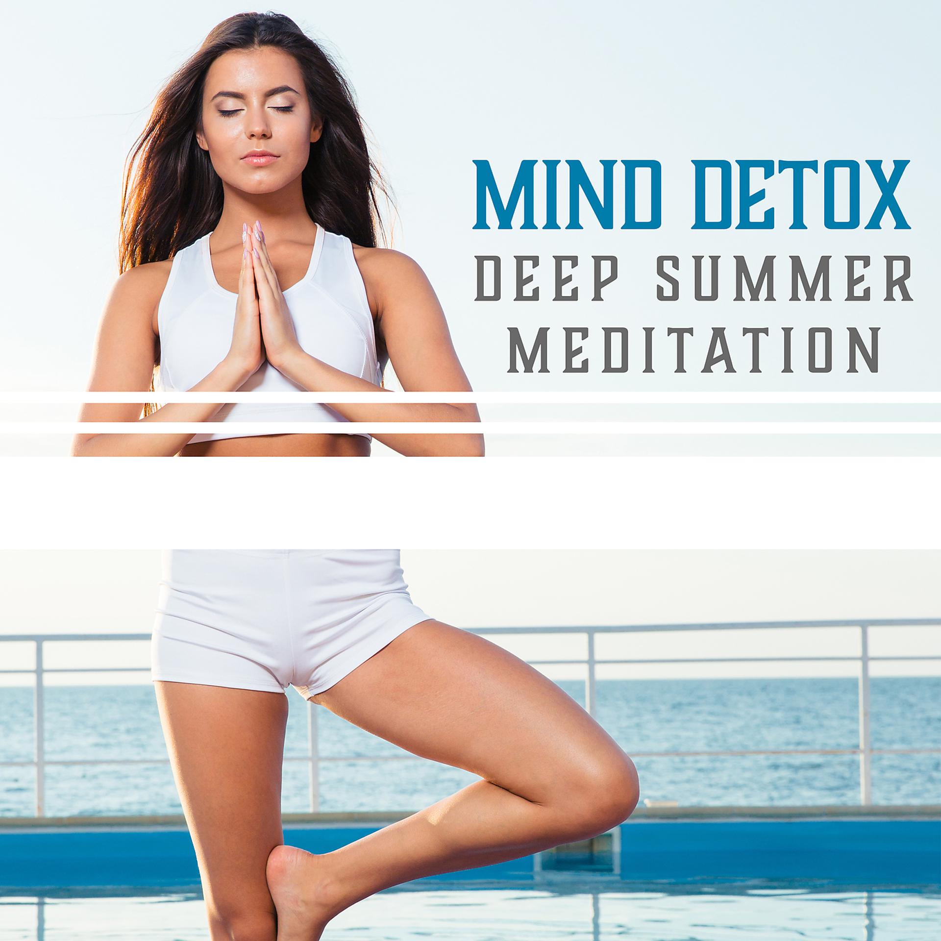 Постер альбома Mind Detox – Deep Summer Meditation: Energy Flow, Peaceful Retreat, Karmic Influence, Calm Dream, Personal Growth, Healing Vibes