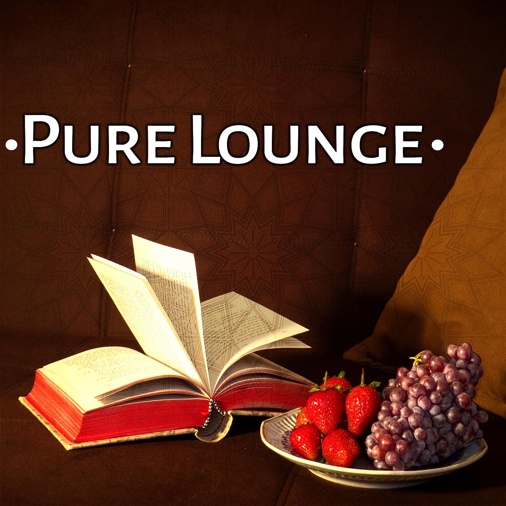 Постер альбома Pure Lounge