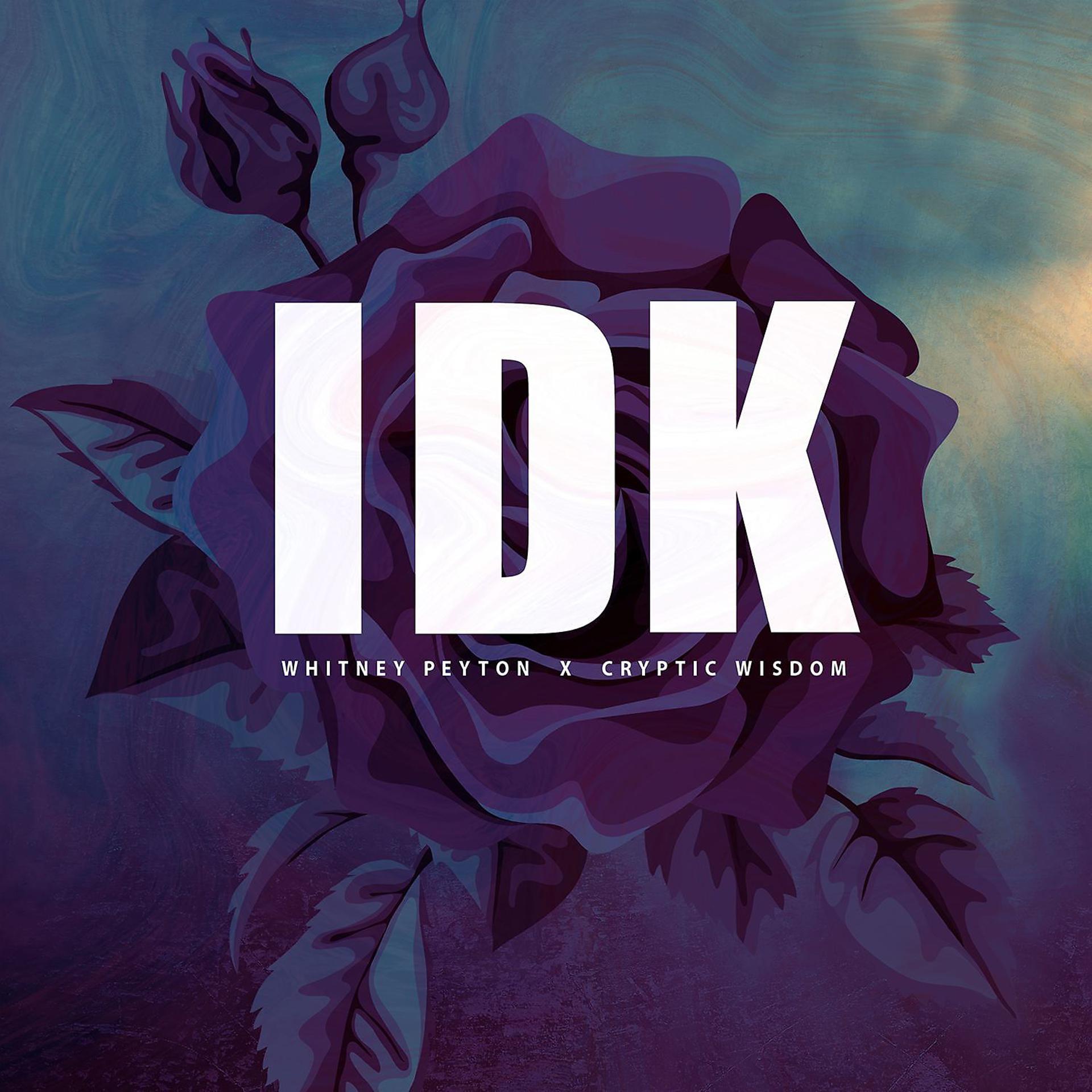 Постер альбома IDK (feat. Cryptic Wisdom)