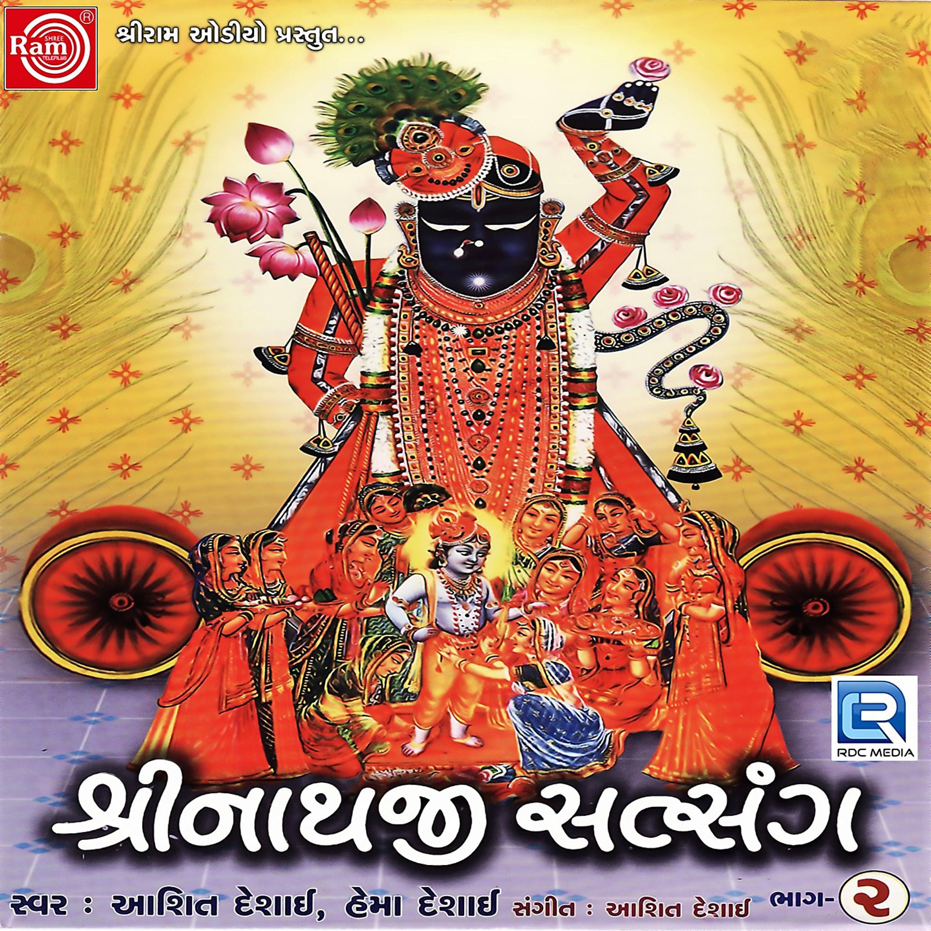 Постер альбома Shrinathji Satsang, Pt. 2