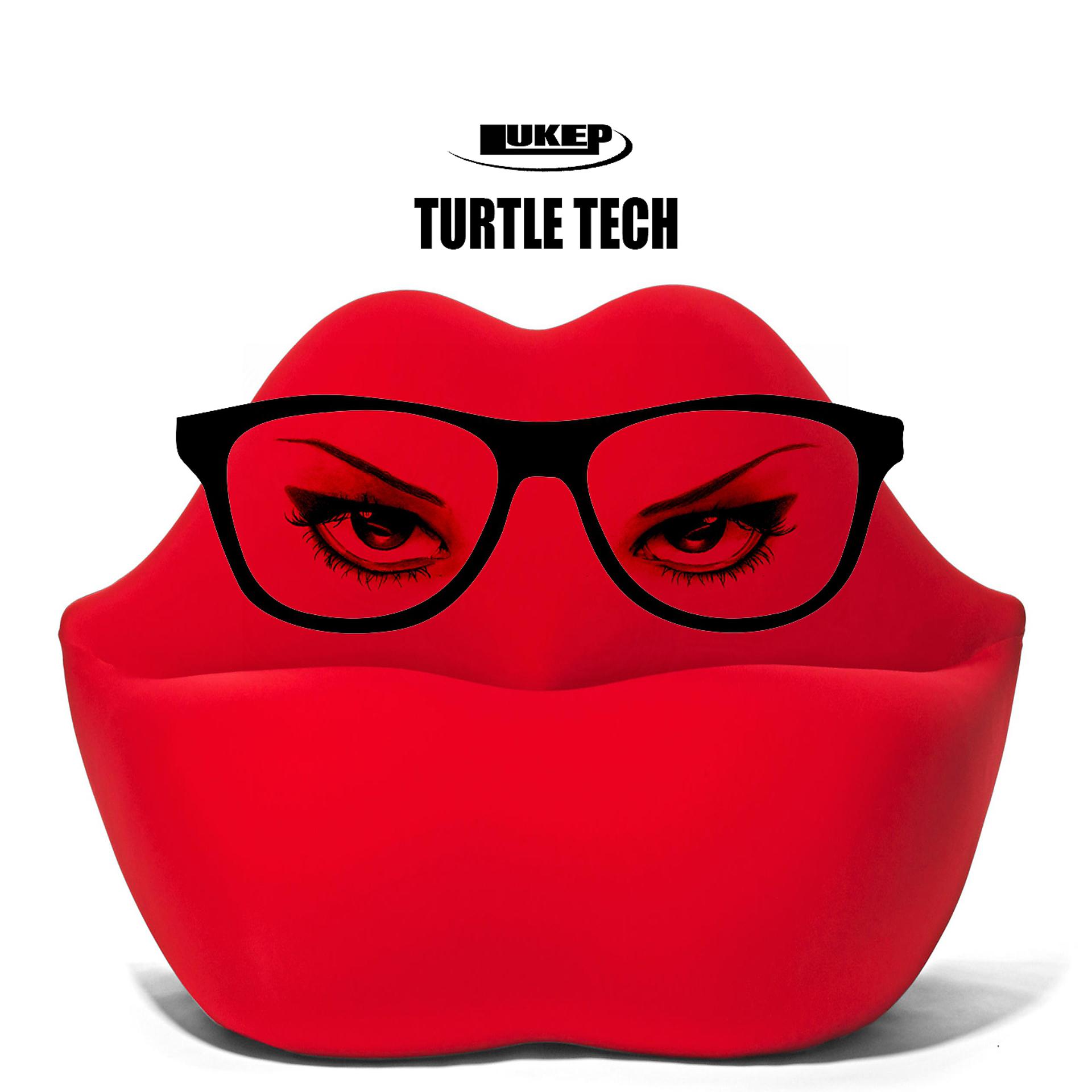 Постер альбома Turtle Tech