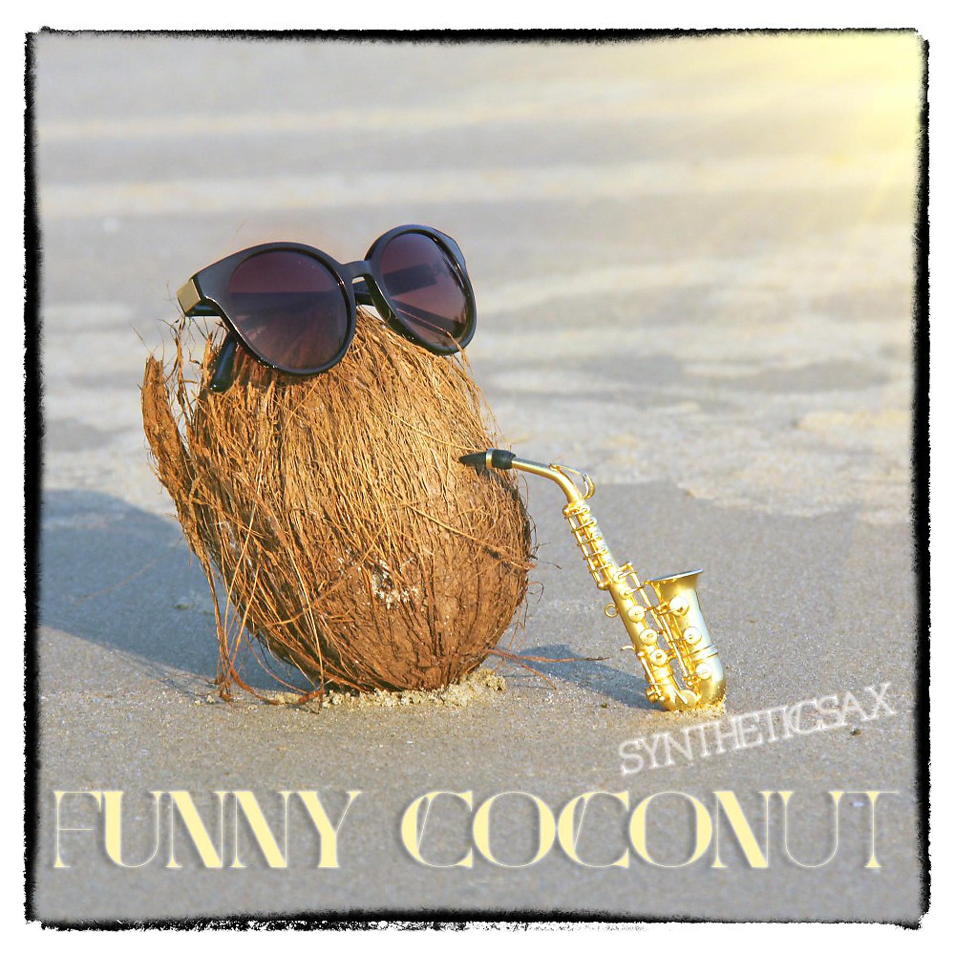 Постер альбома Funny Coconut