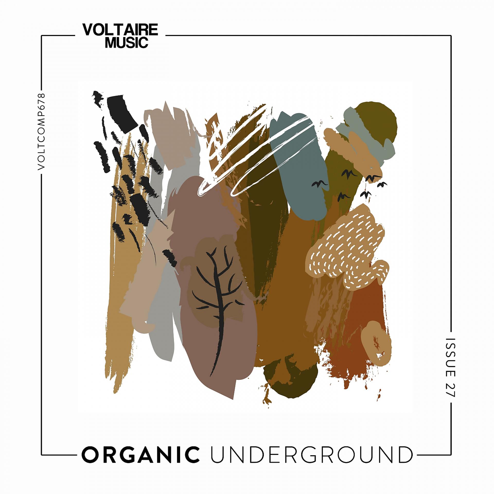Постер альбома Organic Underground Issue 27