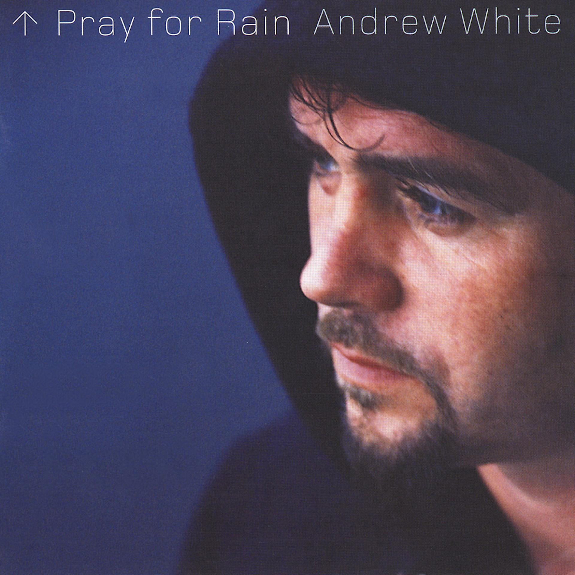 Постер альбома Pray for Rain