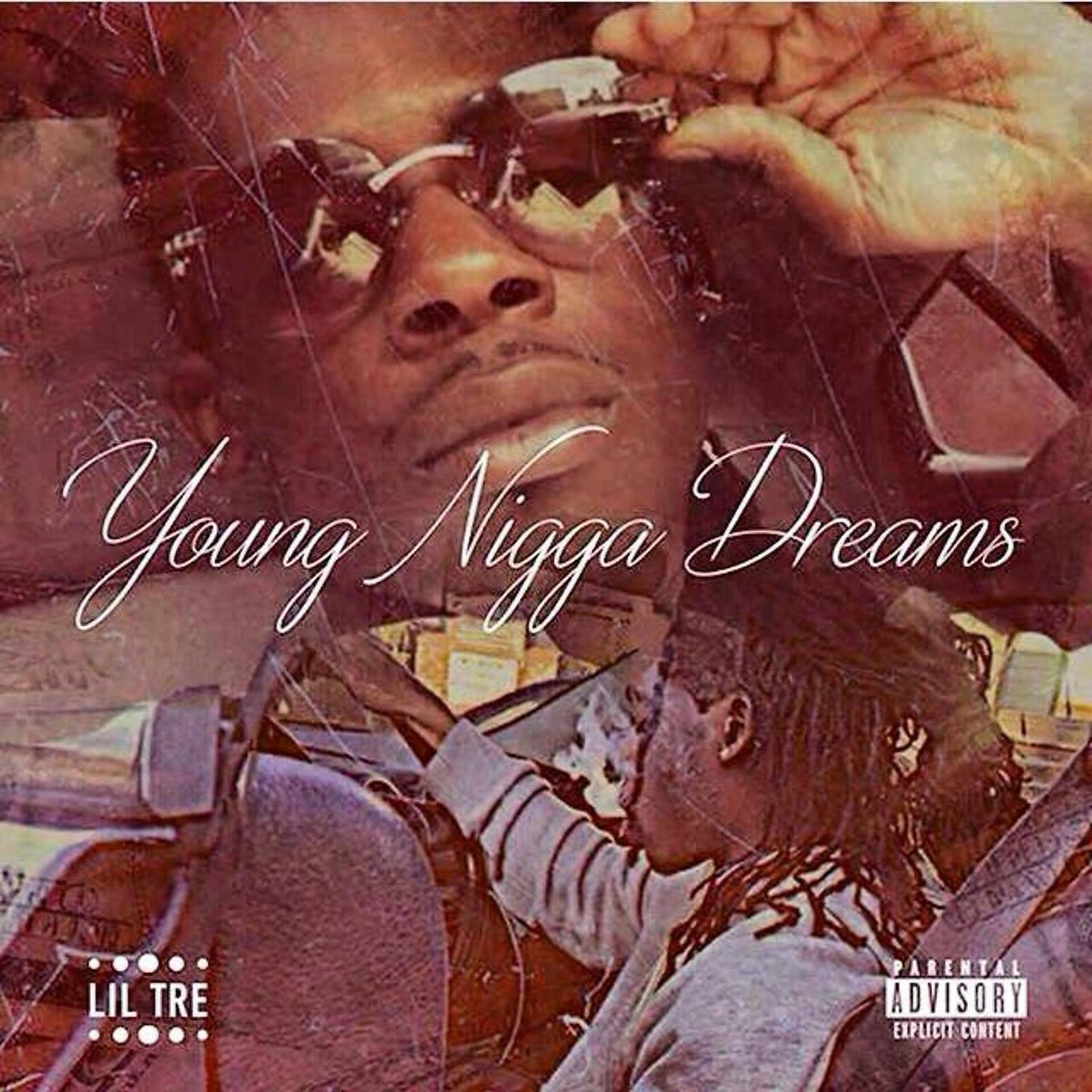 Постер альбома Young Nigga Dreams, Vol. 1