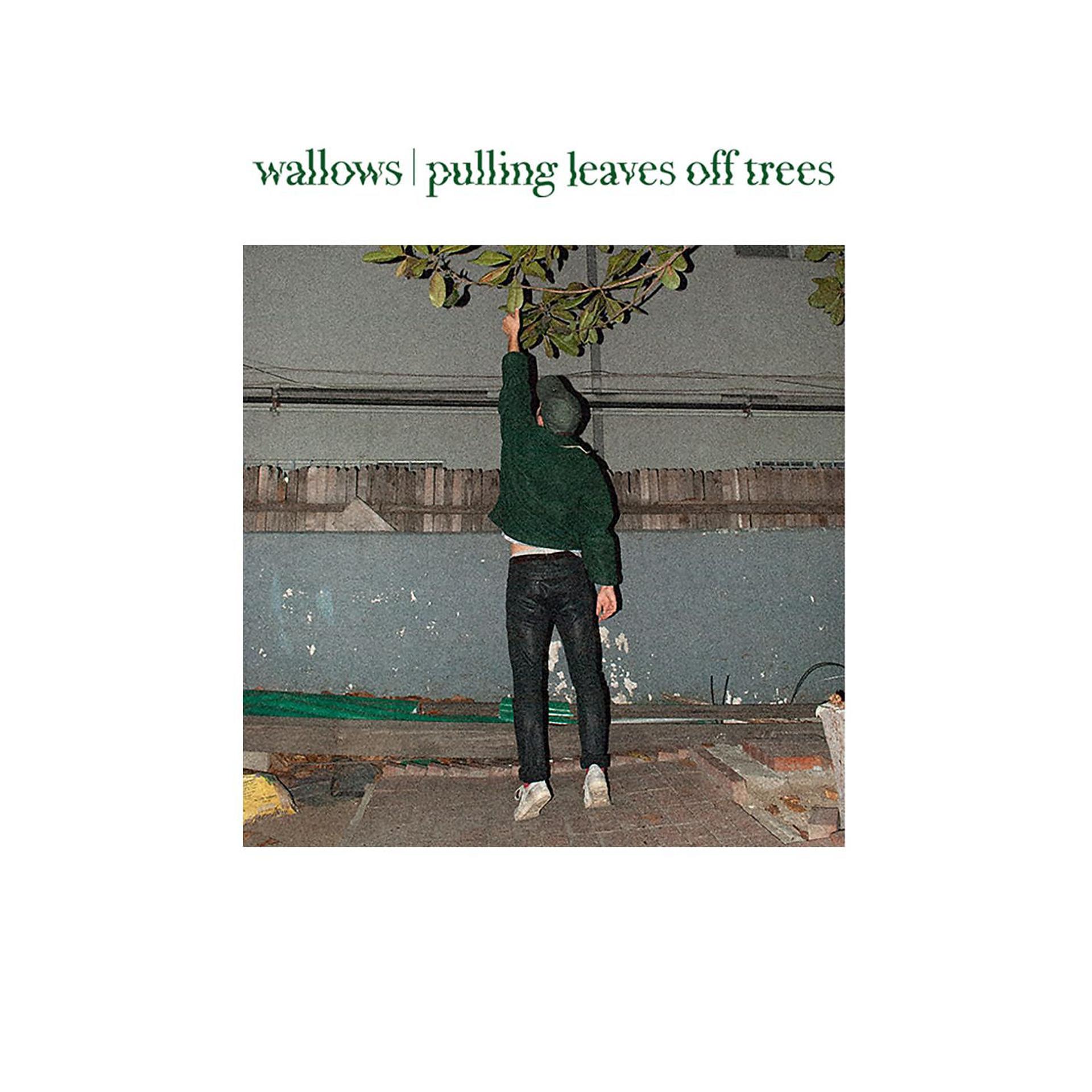 Постер альбома Pulling Leaves Off Trees