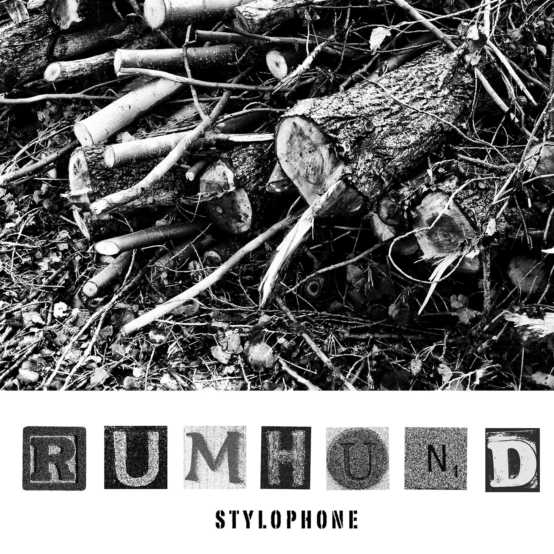 Постер альбома Rumhund Stylophone