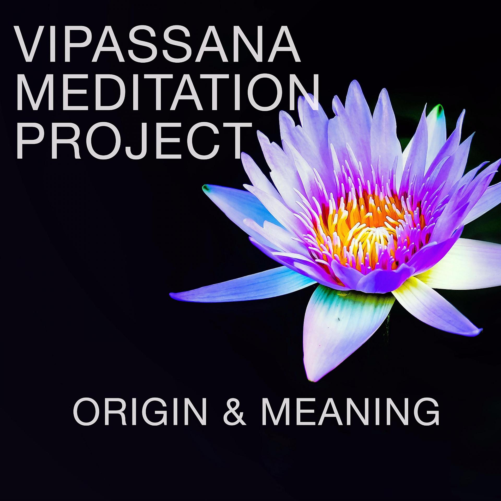 Постер к треку Vipassana Meditation Project - Origin & Meaning