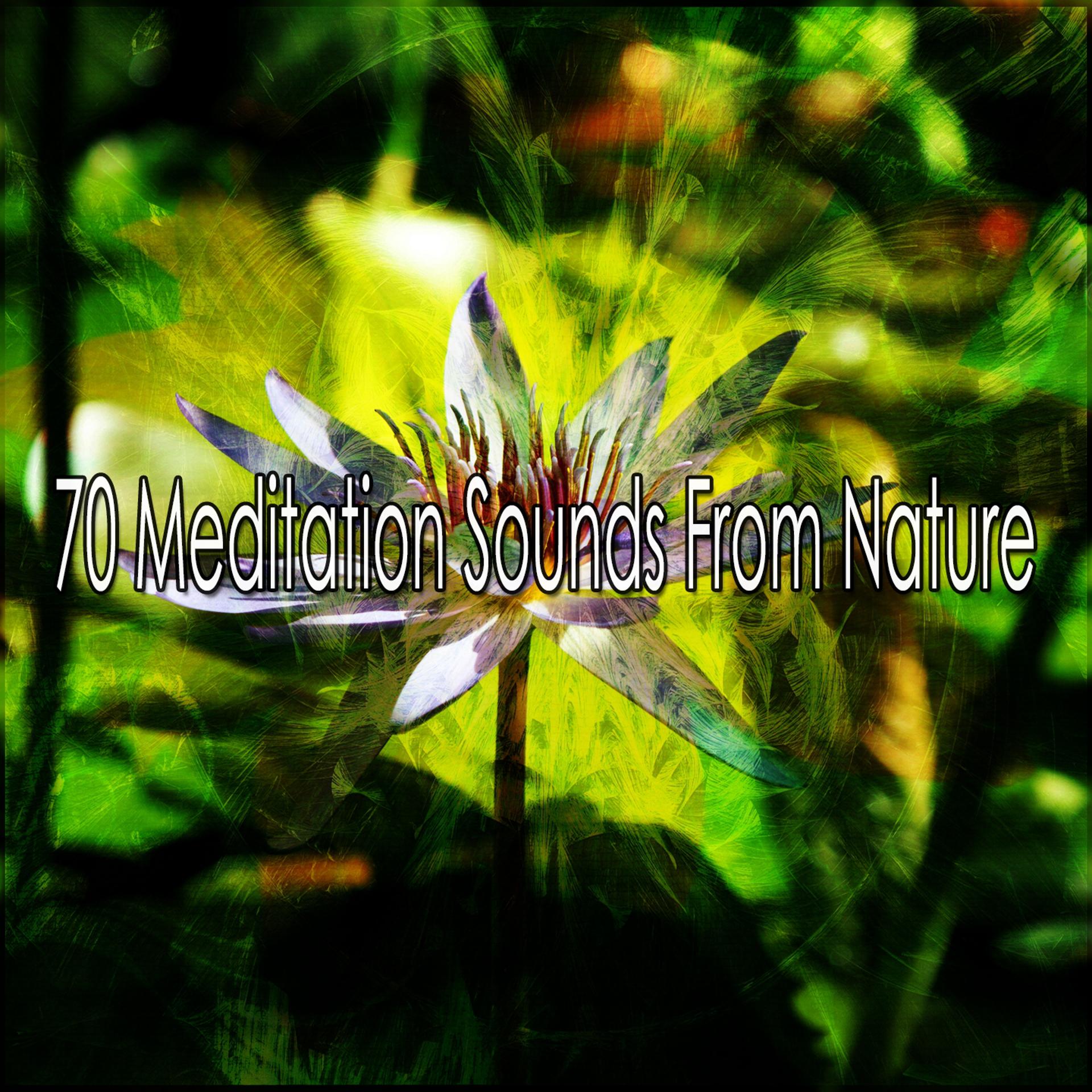 Постер альбома 70 Meditation Sounds From Nature