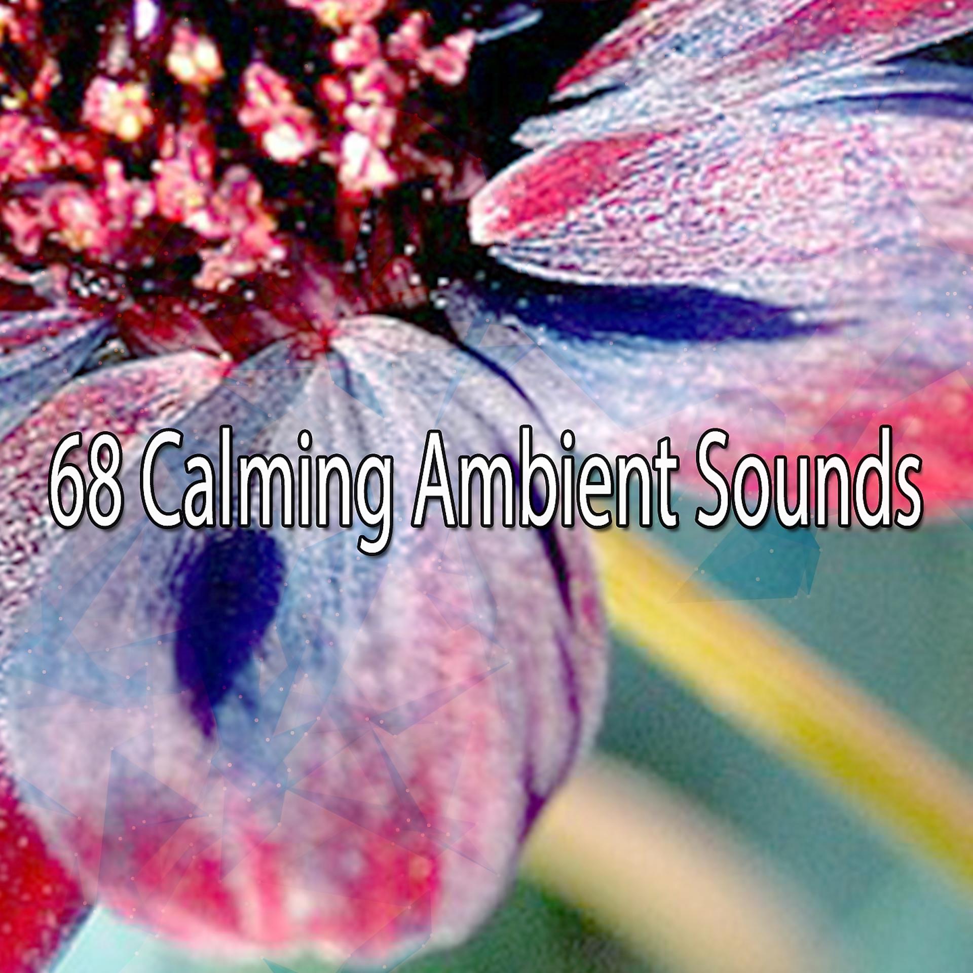 Постер альбома 68 Calming Ambient Sounds