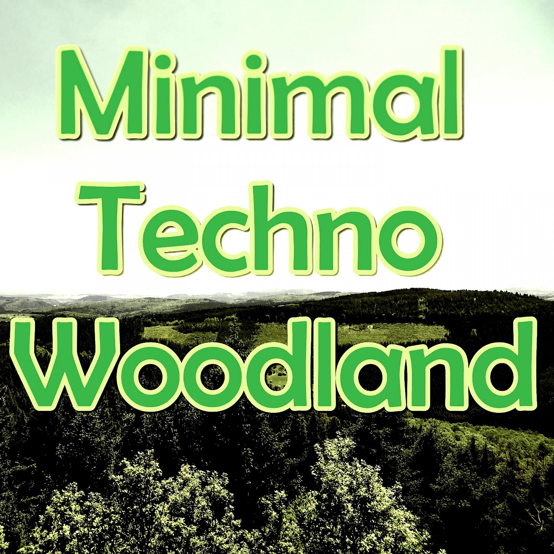 Постер альбома Minimal Techno Woodland