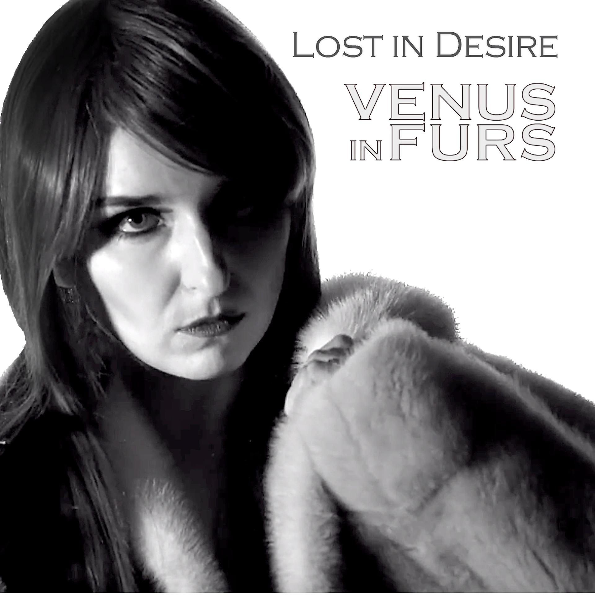 Постер альбома Venus in Furs