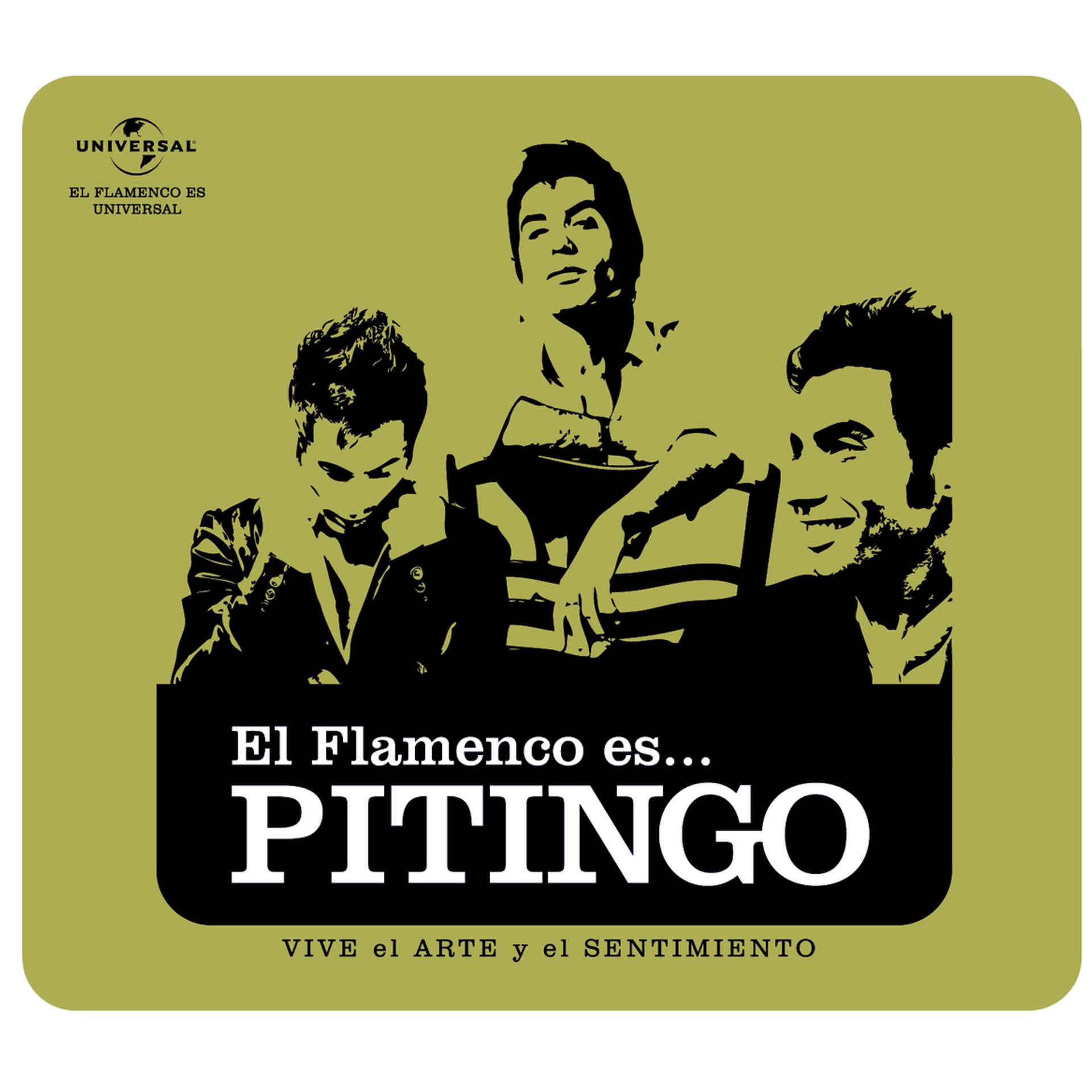 Постер альбома Flamenco es... Pitingo