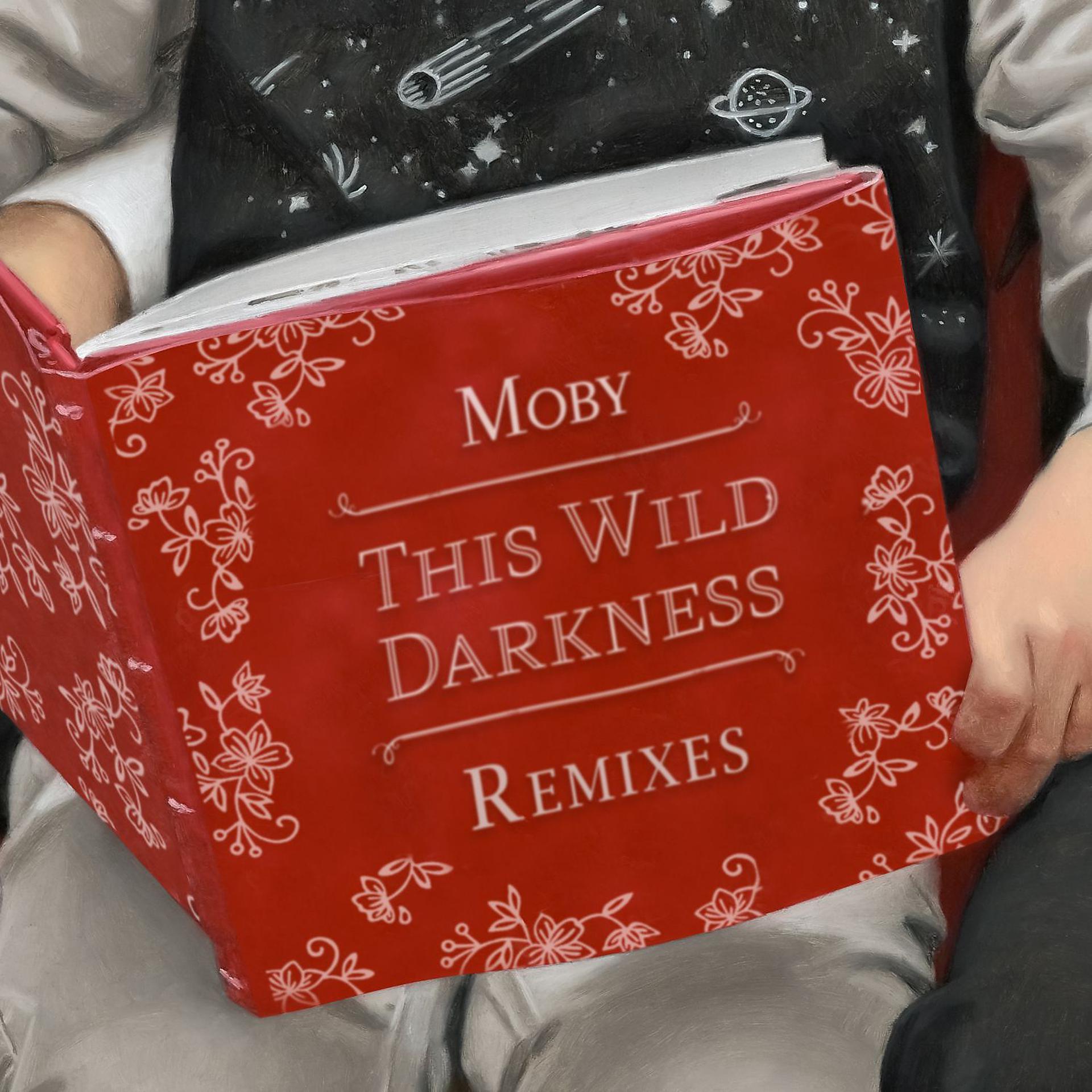 Постер альбома This Wild Darkness (Remixes)