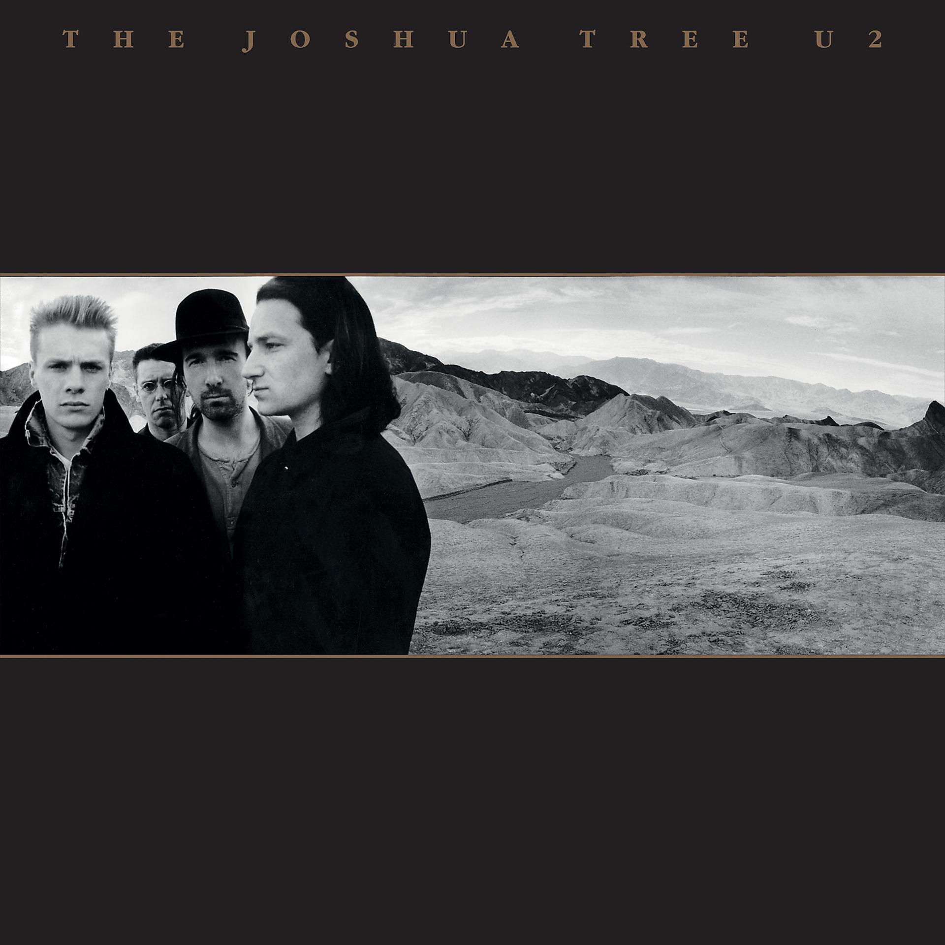 Постер альбома The Joshua Tree