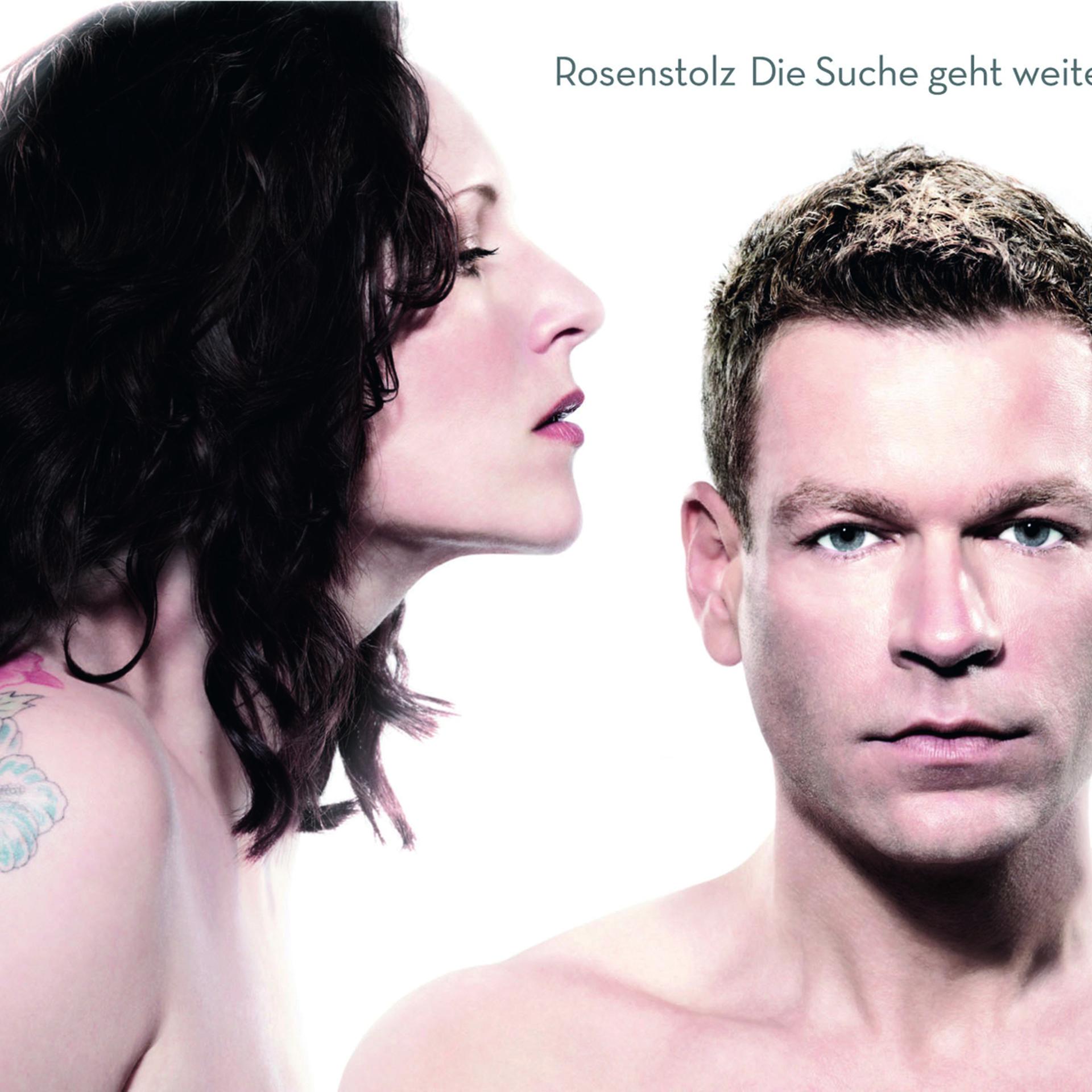 Постер альбома Die Suche geht weiter