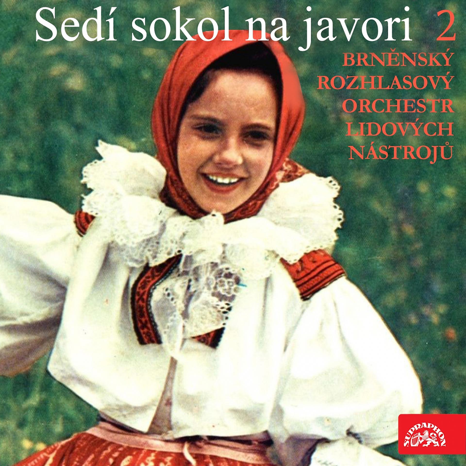 Постер альбома Sedí Sokol Na Javori 2