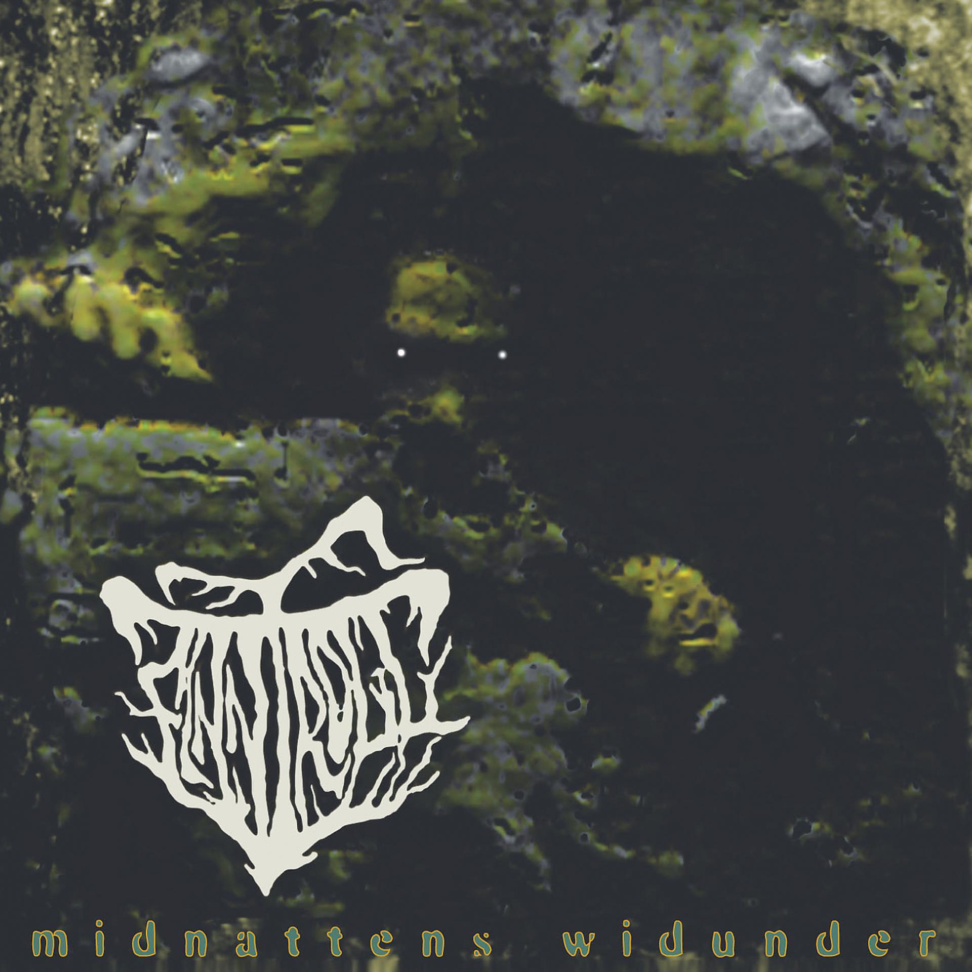Постер альбома Midnattens Widunder