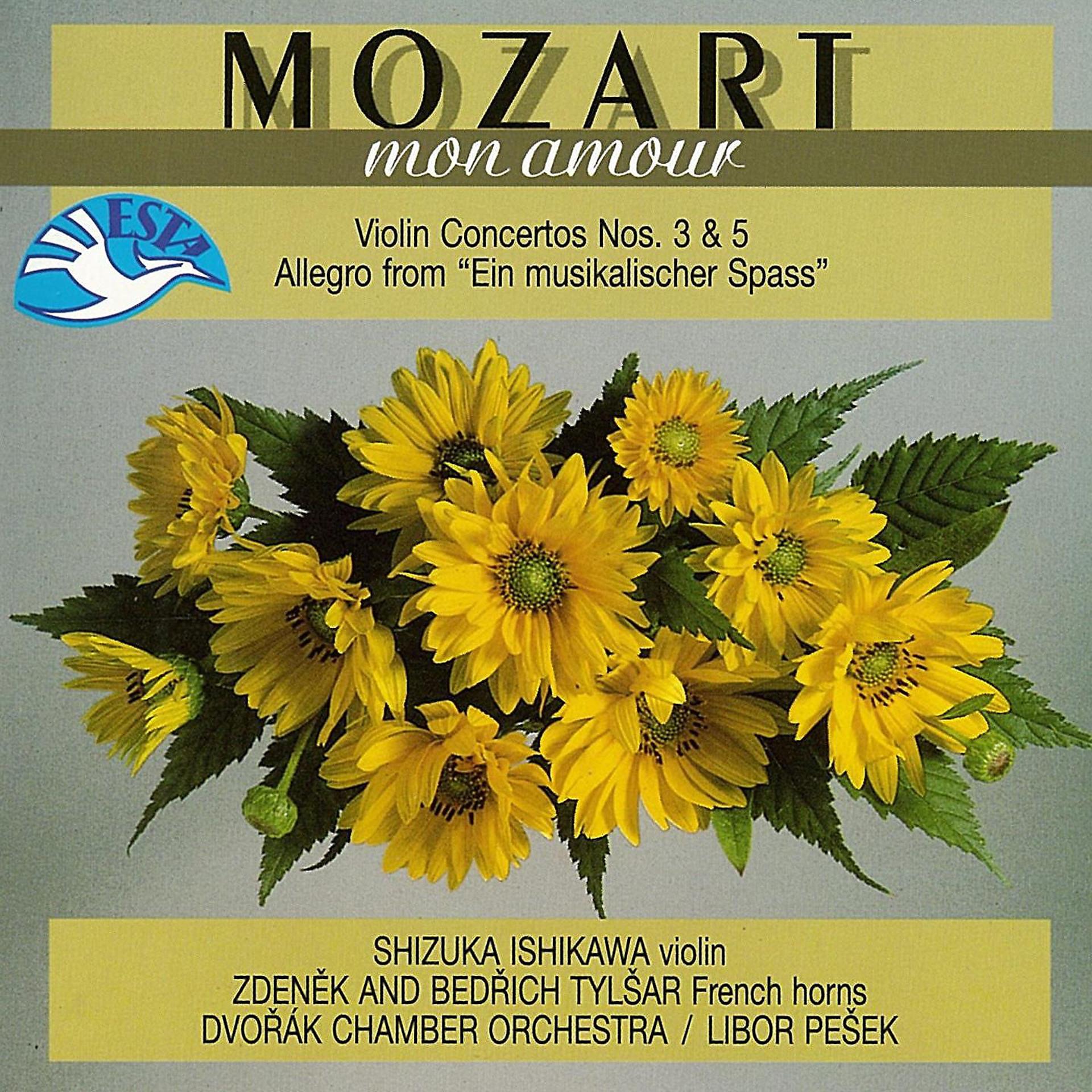 Постер альбома Mozart mon amour