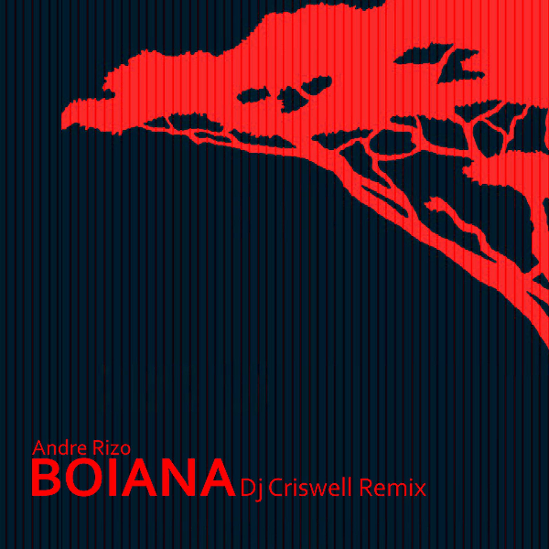 Постер альбома Boiana