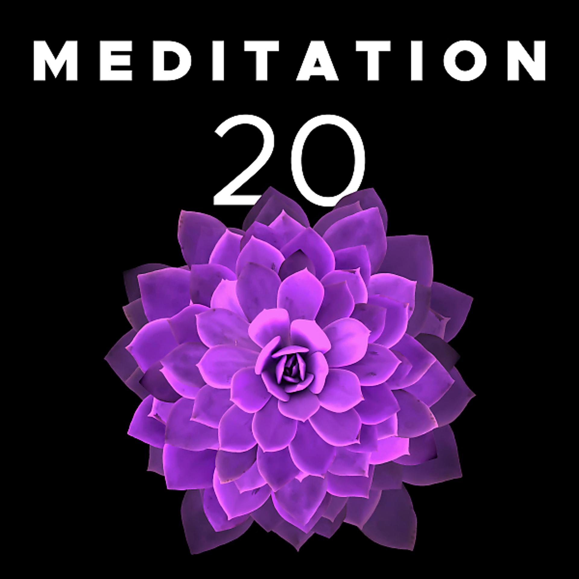 Постер альбома Meditation 20: Entdecke Meditation und dabei klar, konzentriert und ruhig wirst