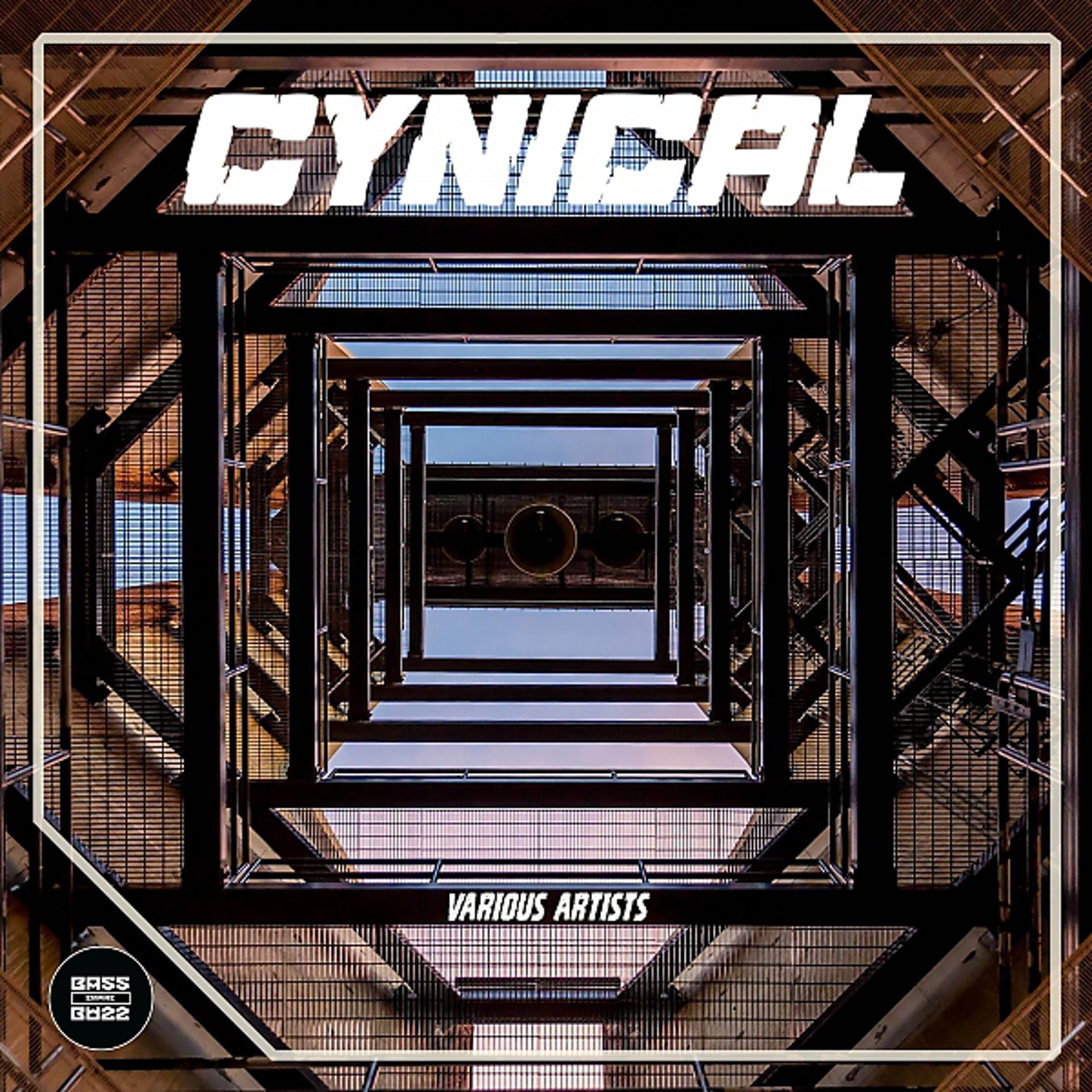 Постер альбома Cynical