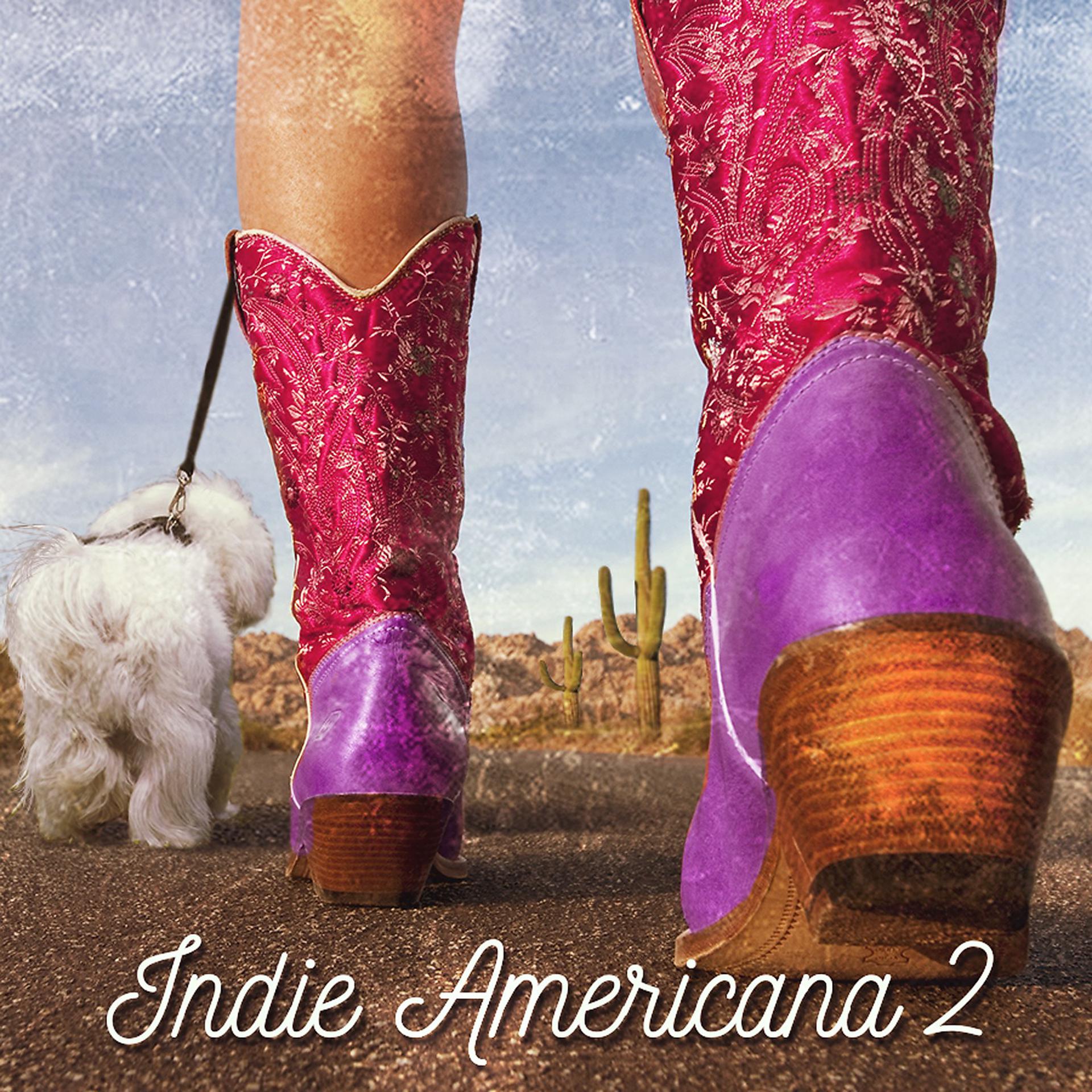 Постер альбома Indie Americana 2