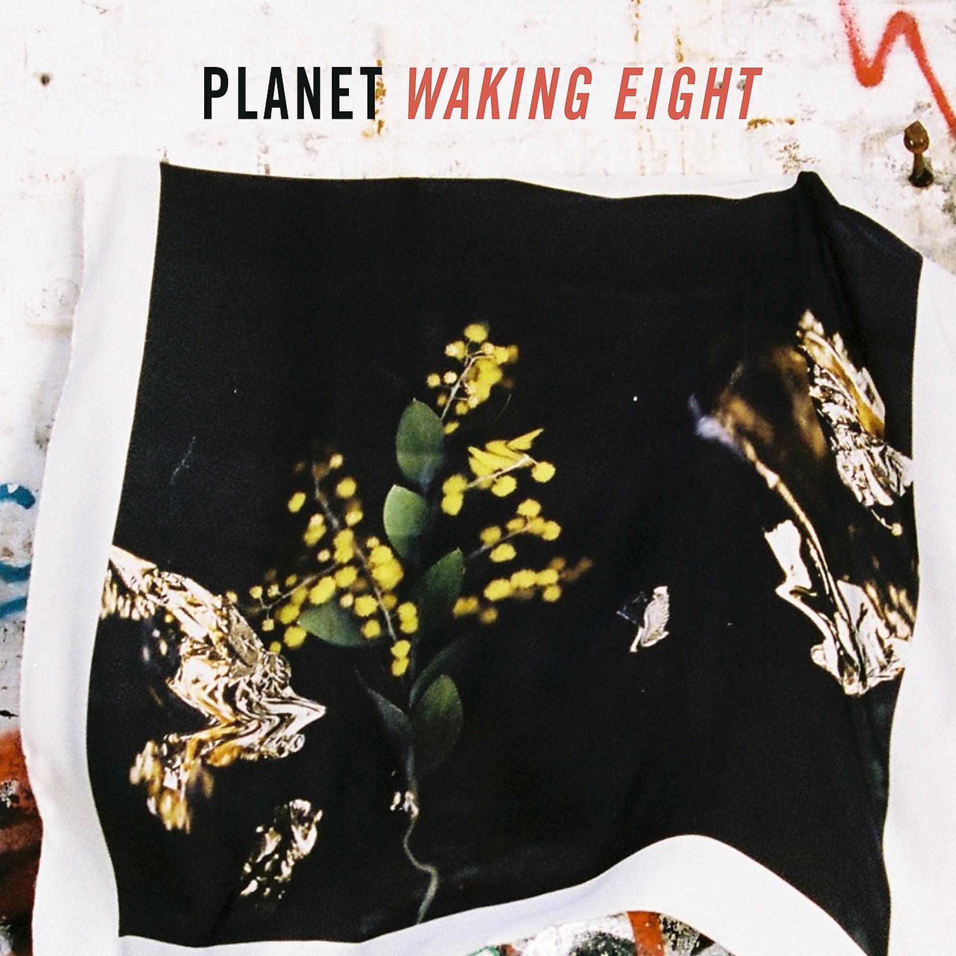 Постер альбома Waking Eight