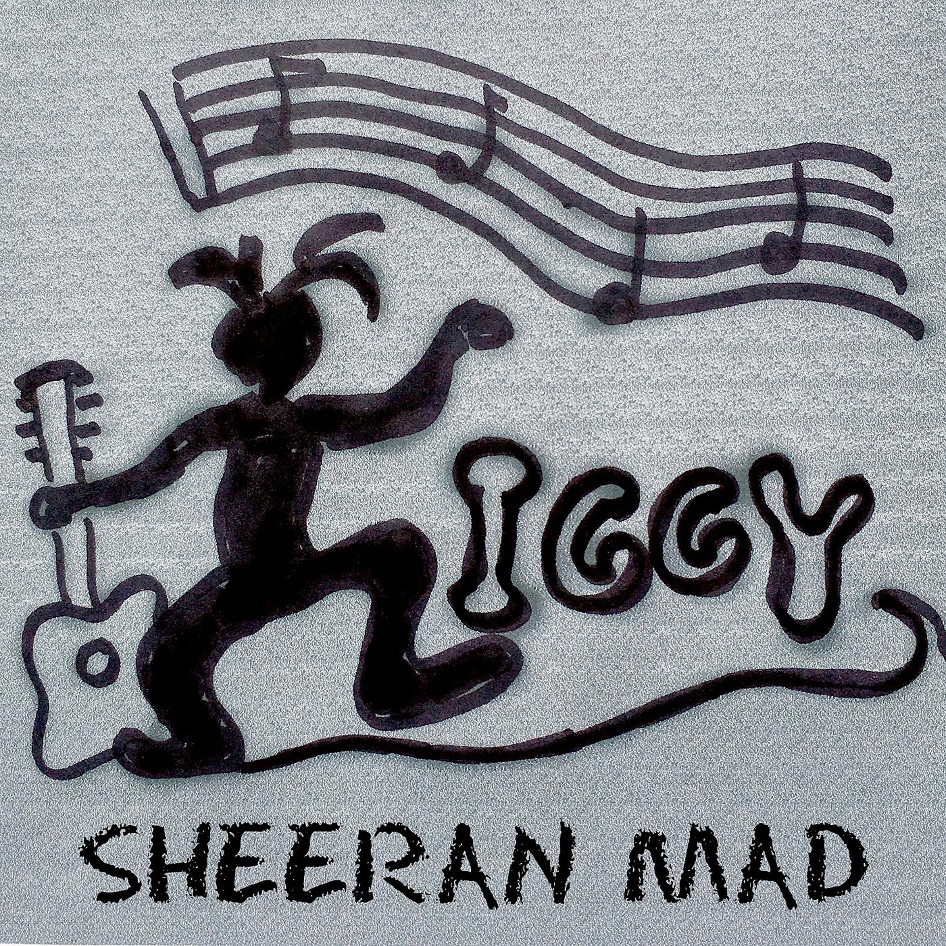 Постер альбома Sheeran Mad