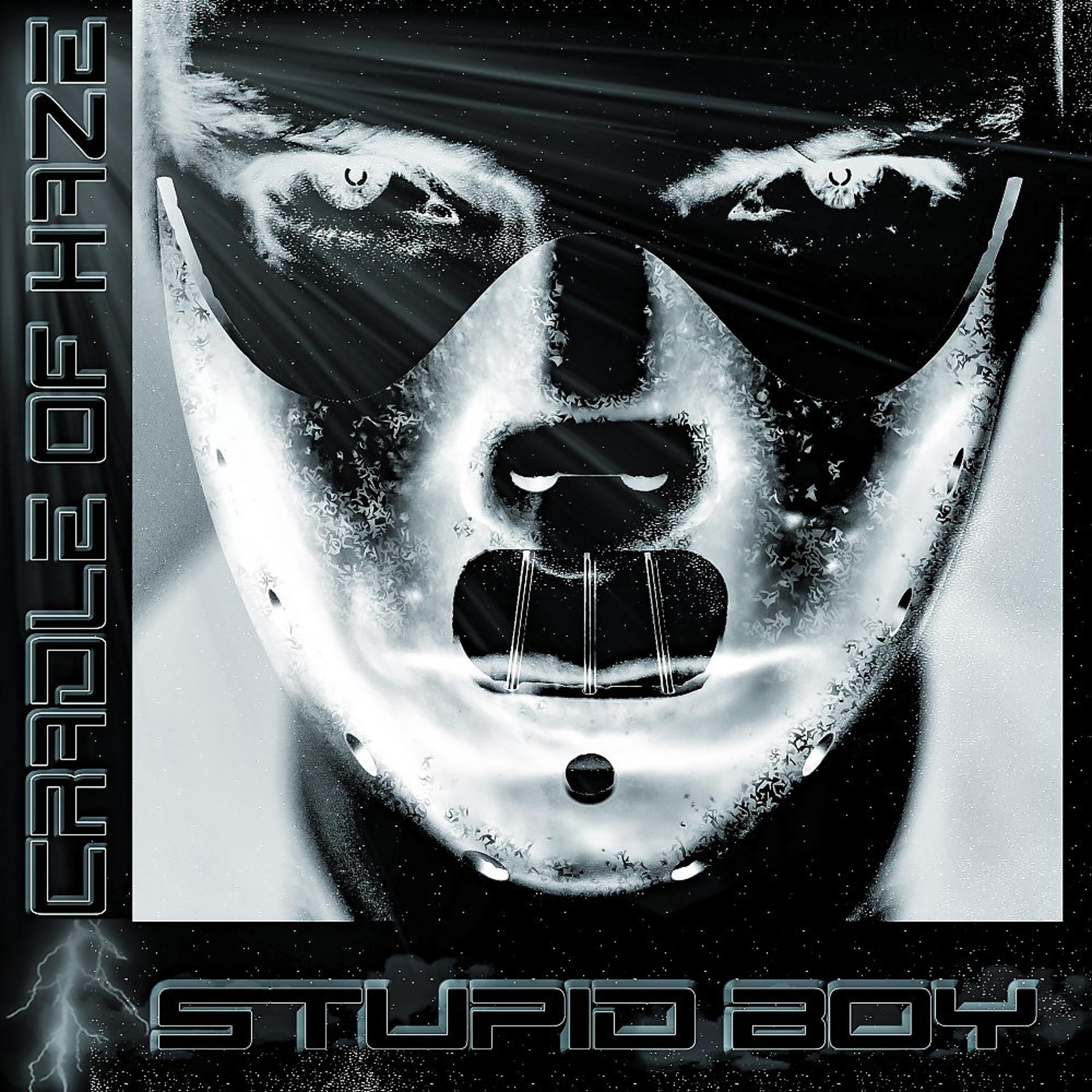 Постер альбома Stupid Boy (Version 2018)