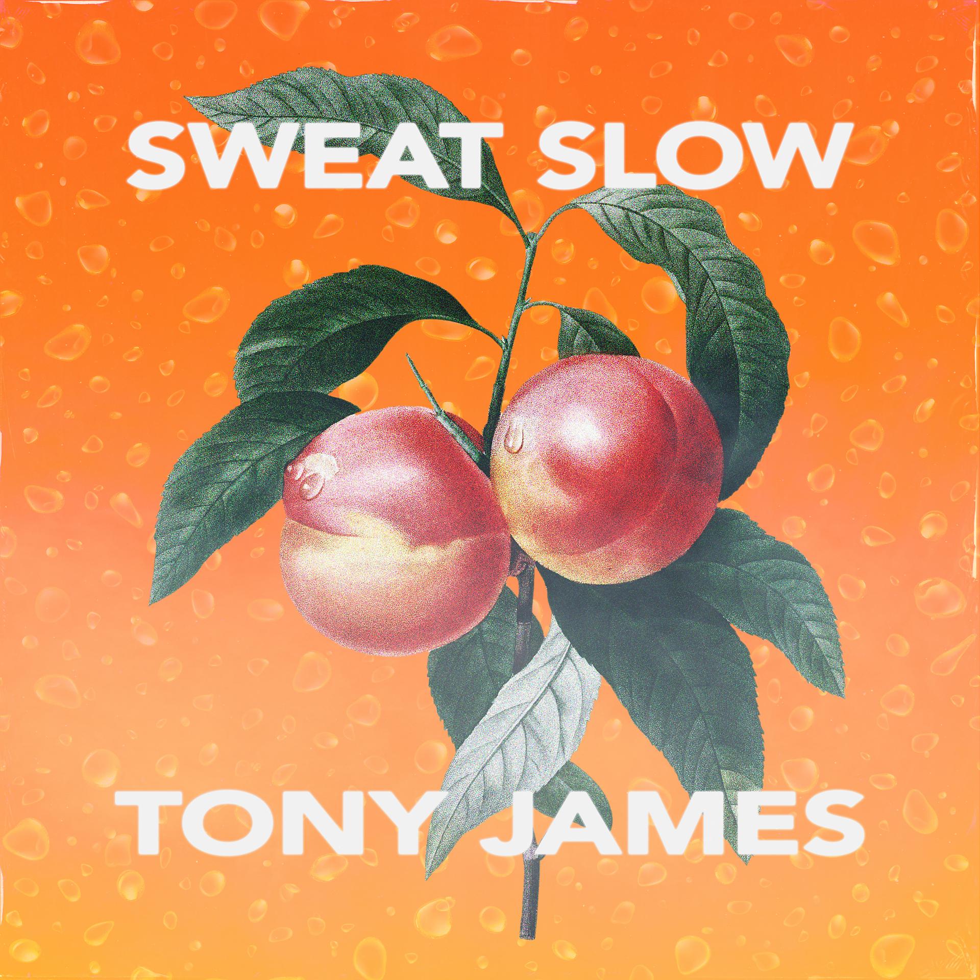 Постер альбома Sweat Slow