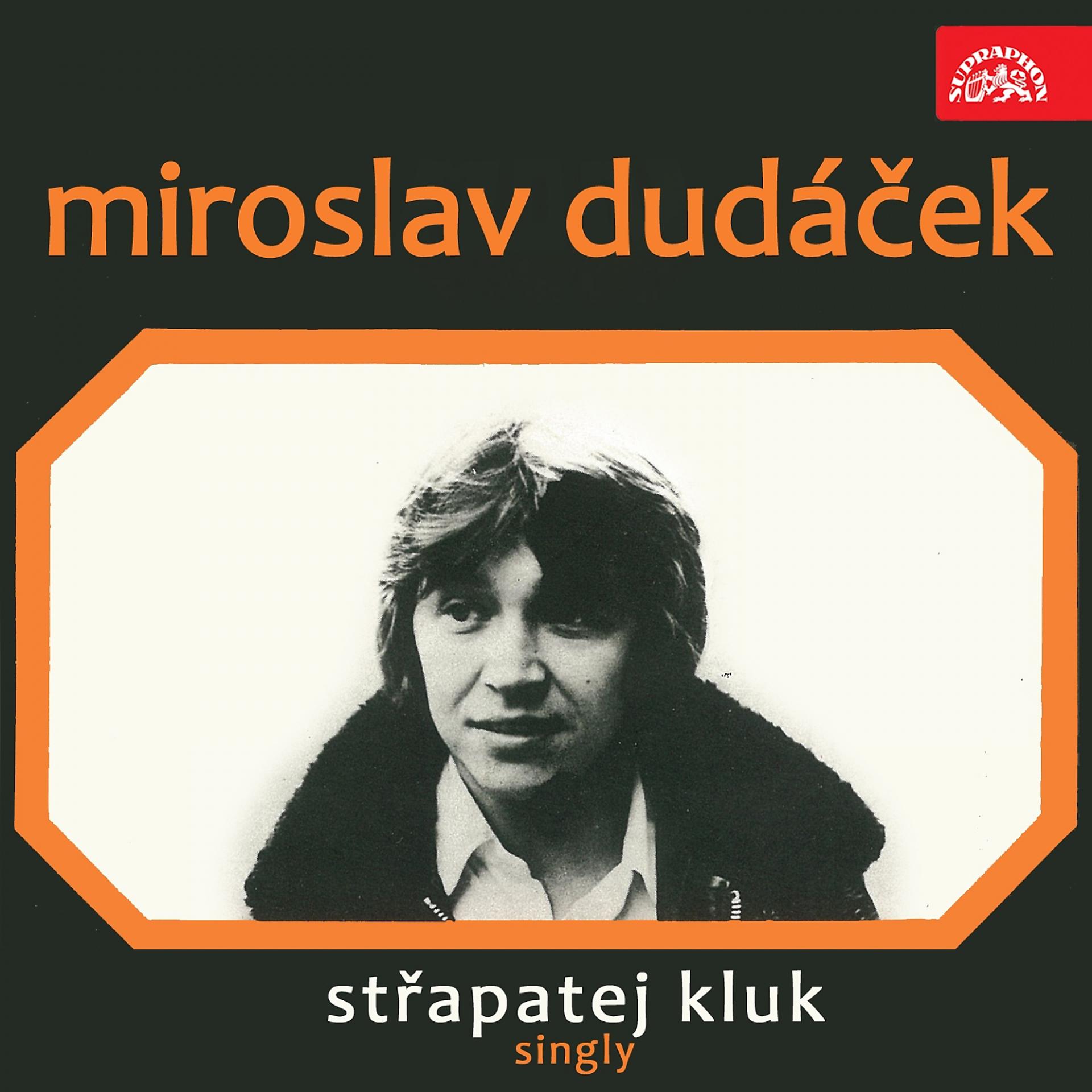 Постер альбома Střapatej Kluk